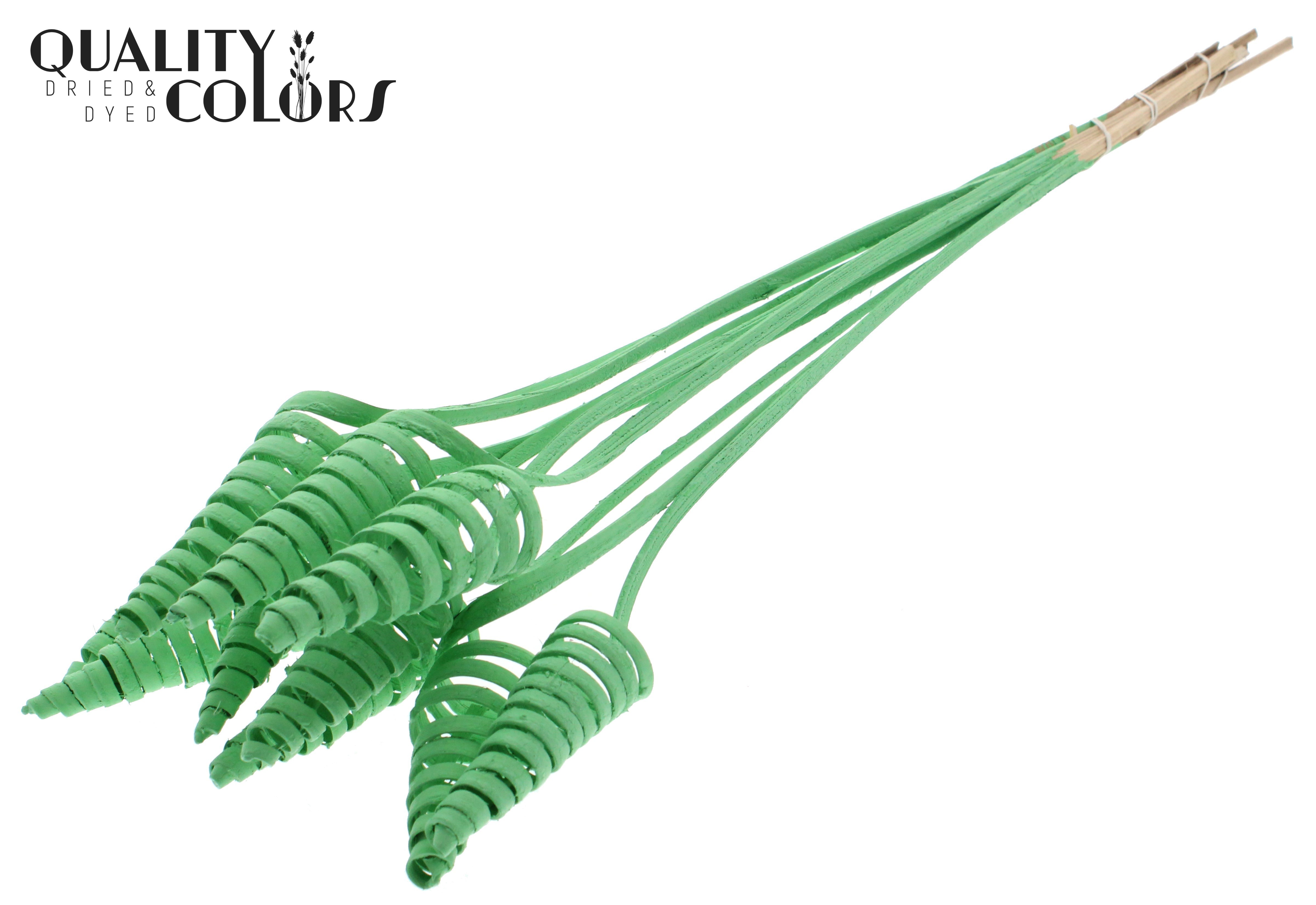 Cane Cone Mint Green 50cm