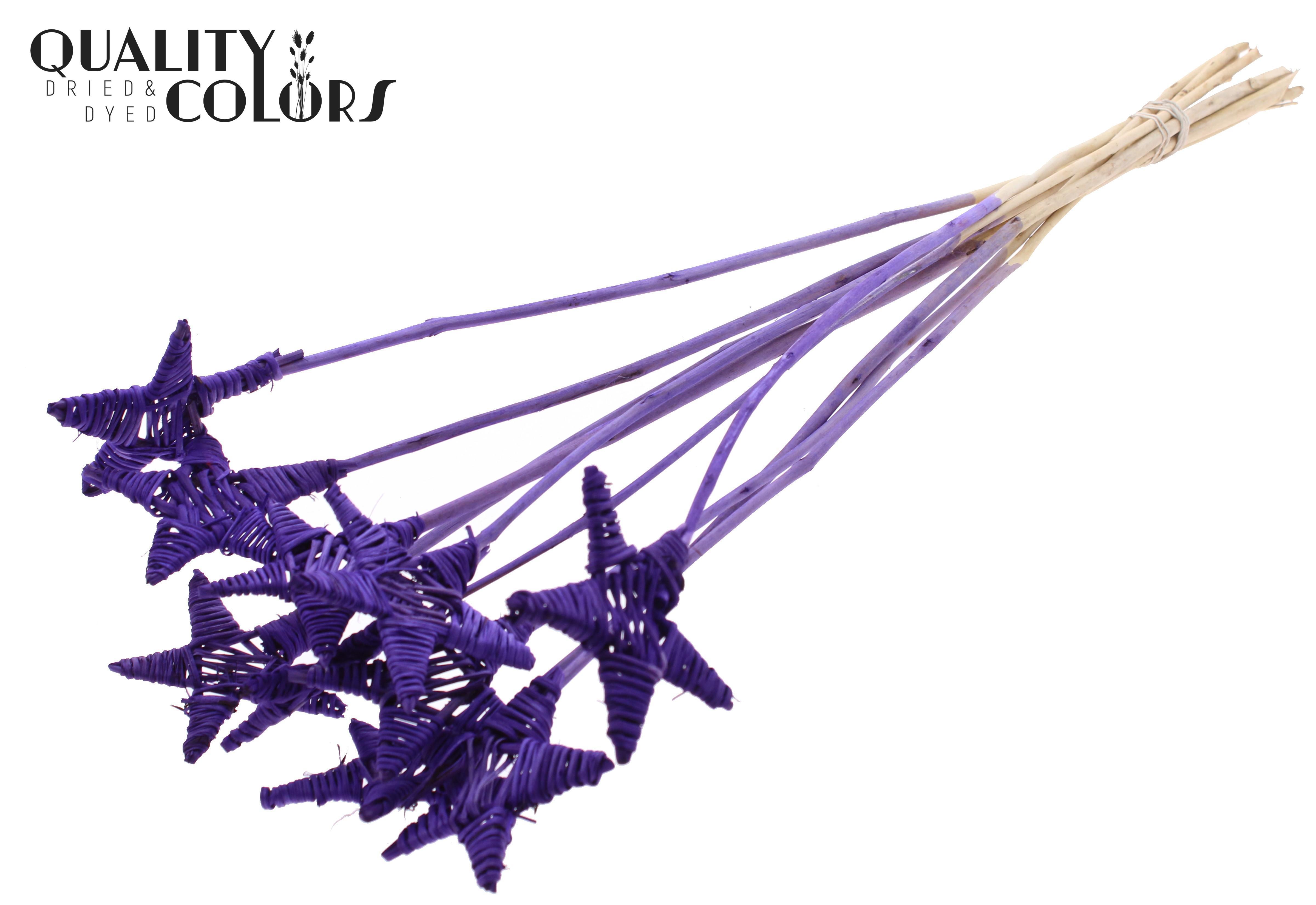 Lata Star Purple 50cm