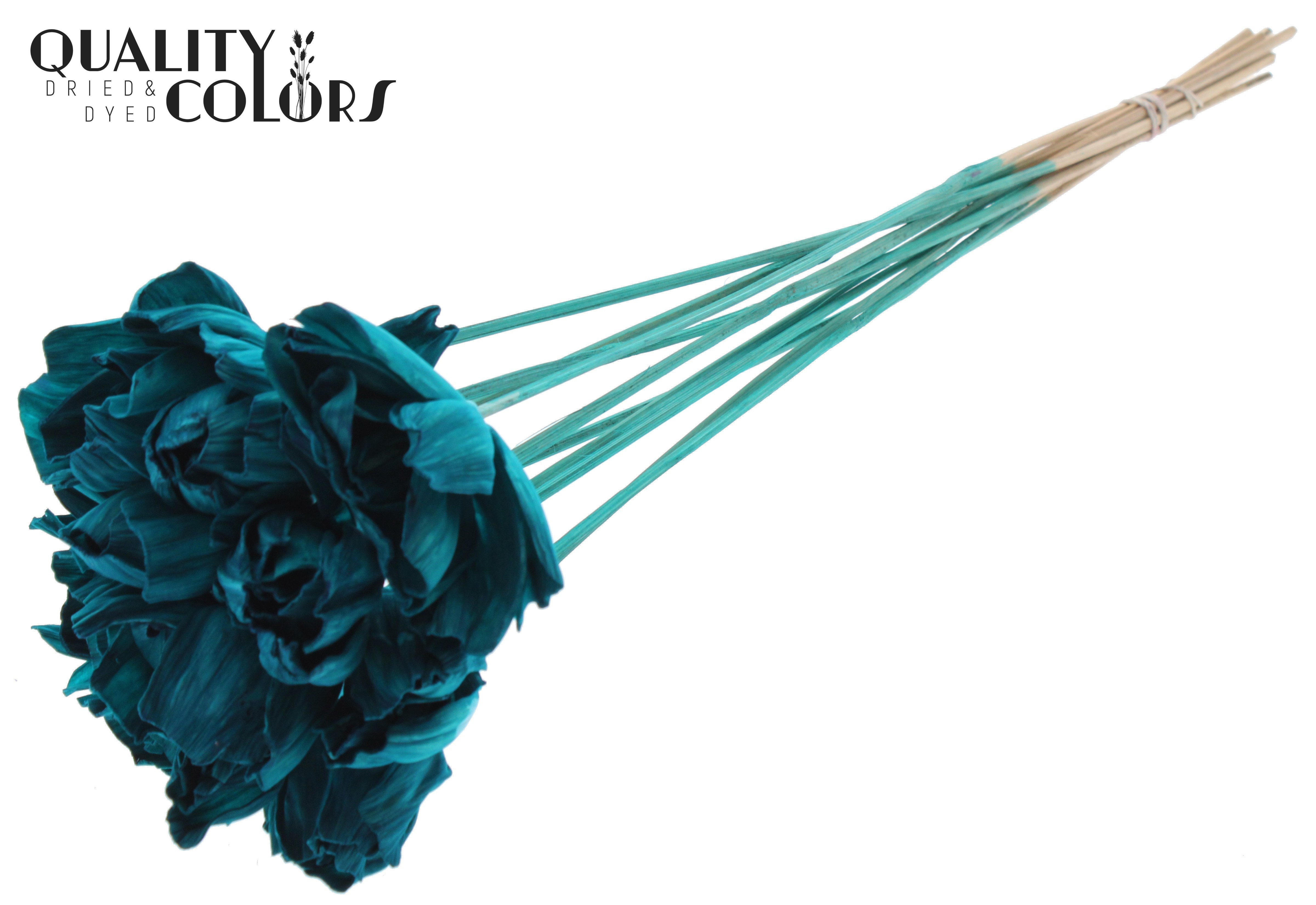 Shola Dear Holly Turquoise 50cm