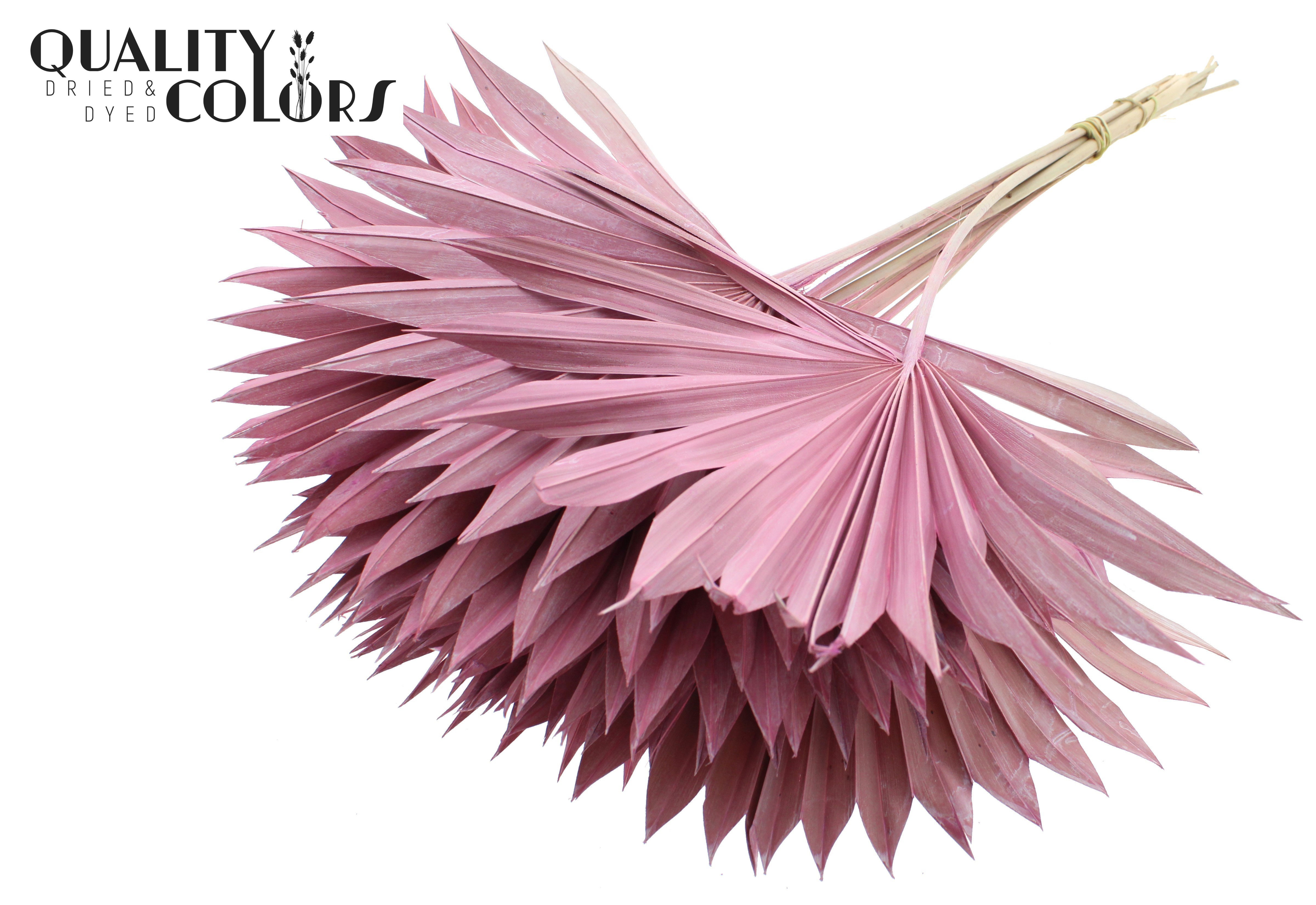 Palm Sun Frosted Pink 50cm