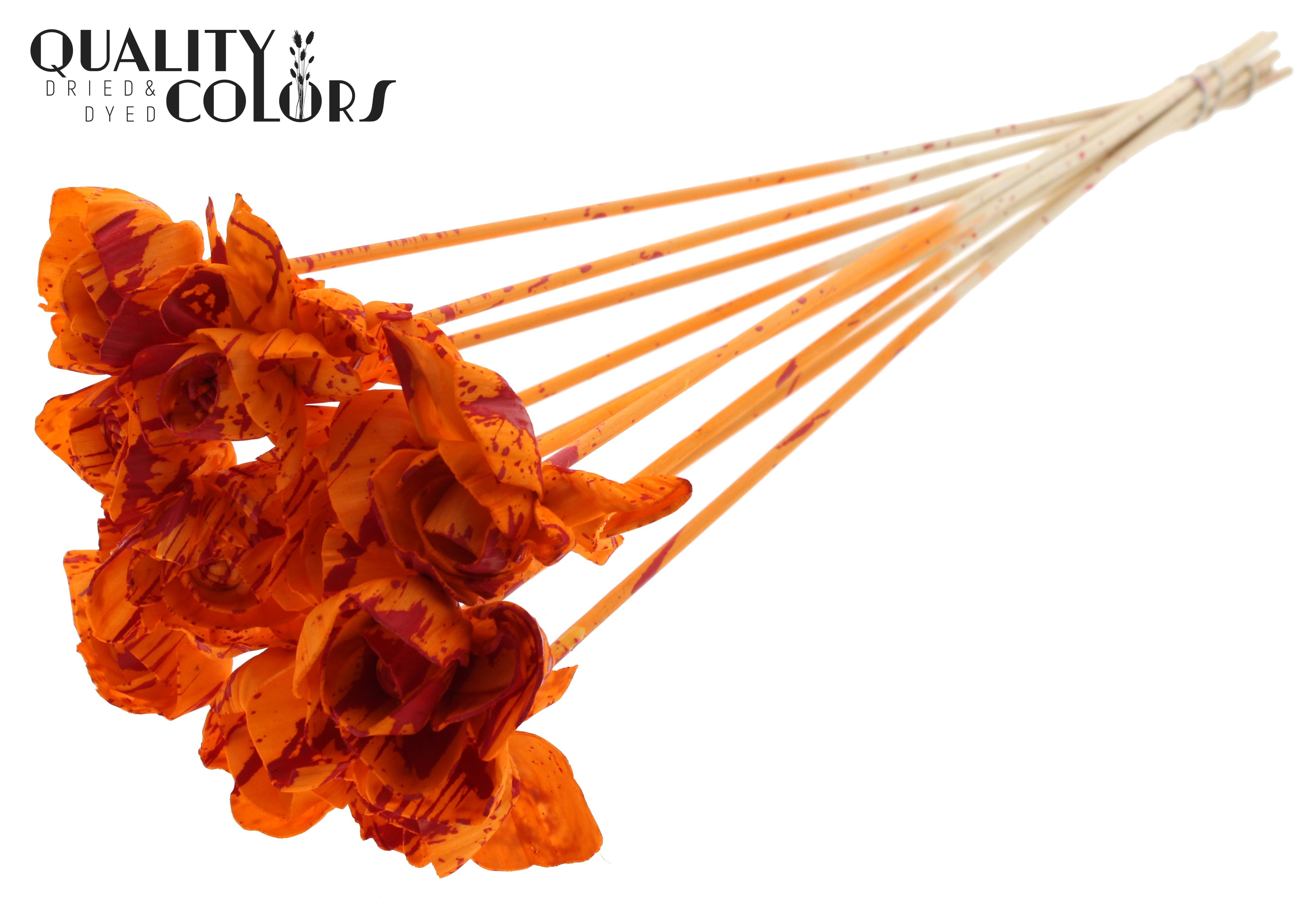 Shola Dear Holly Splashed Orange Red 50cm