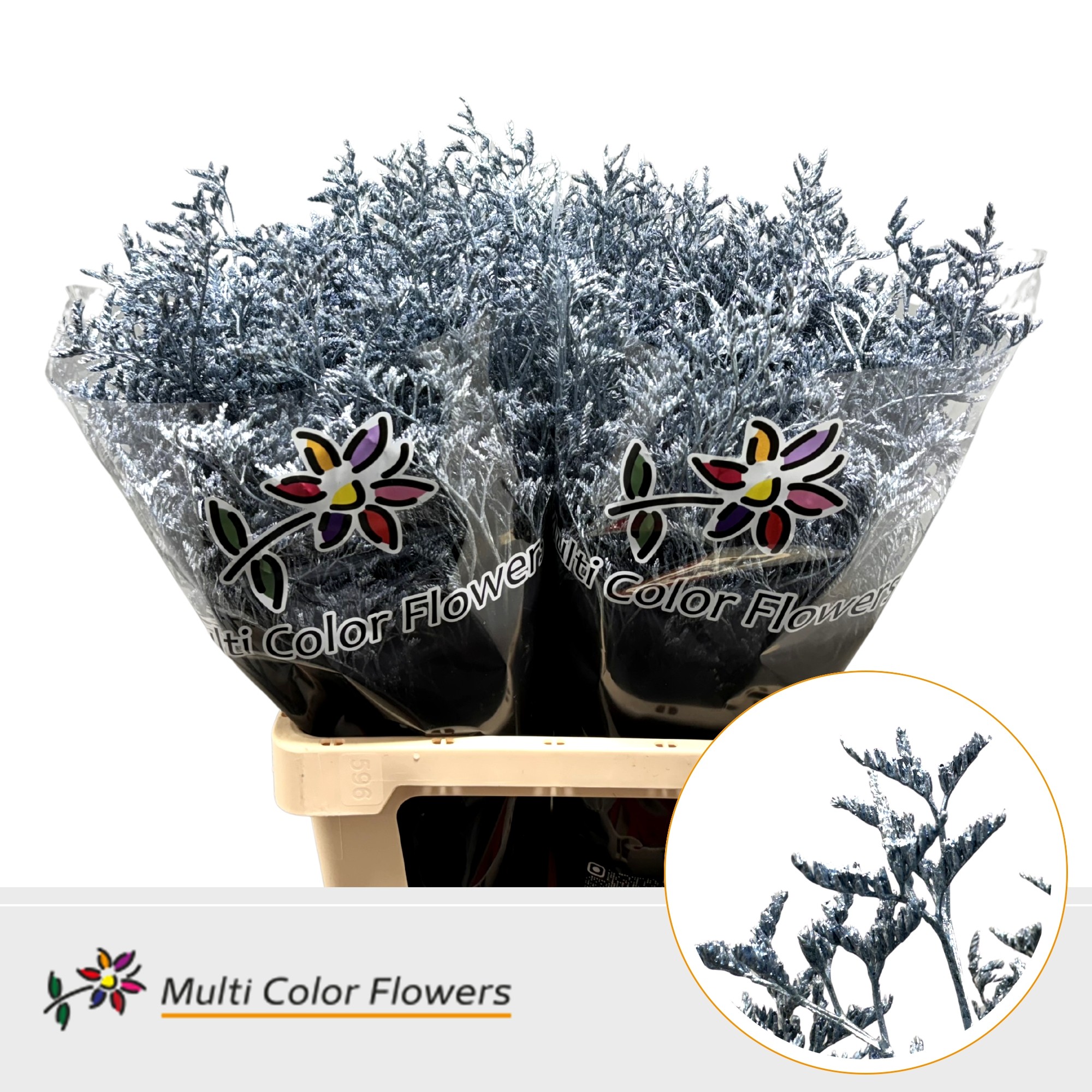 Limonium Metallic Blauw Licht