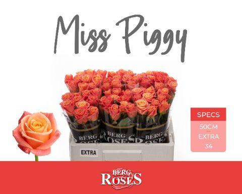 Rosa Miss Piggy 50cm