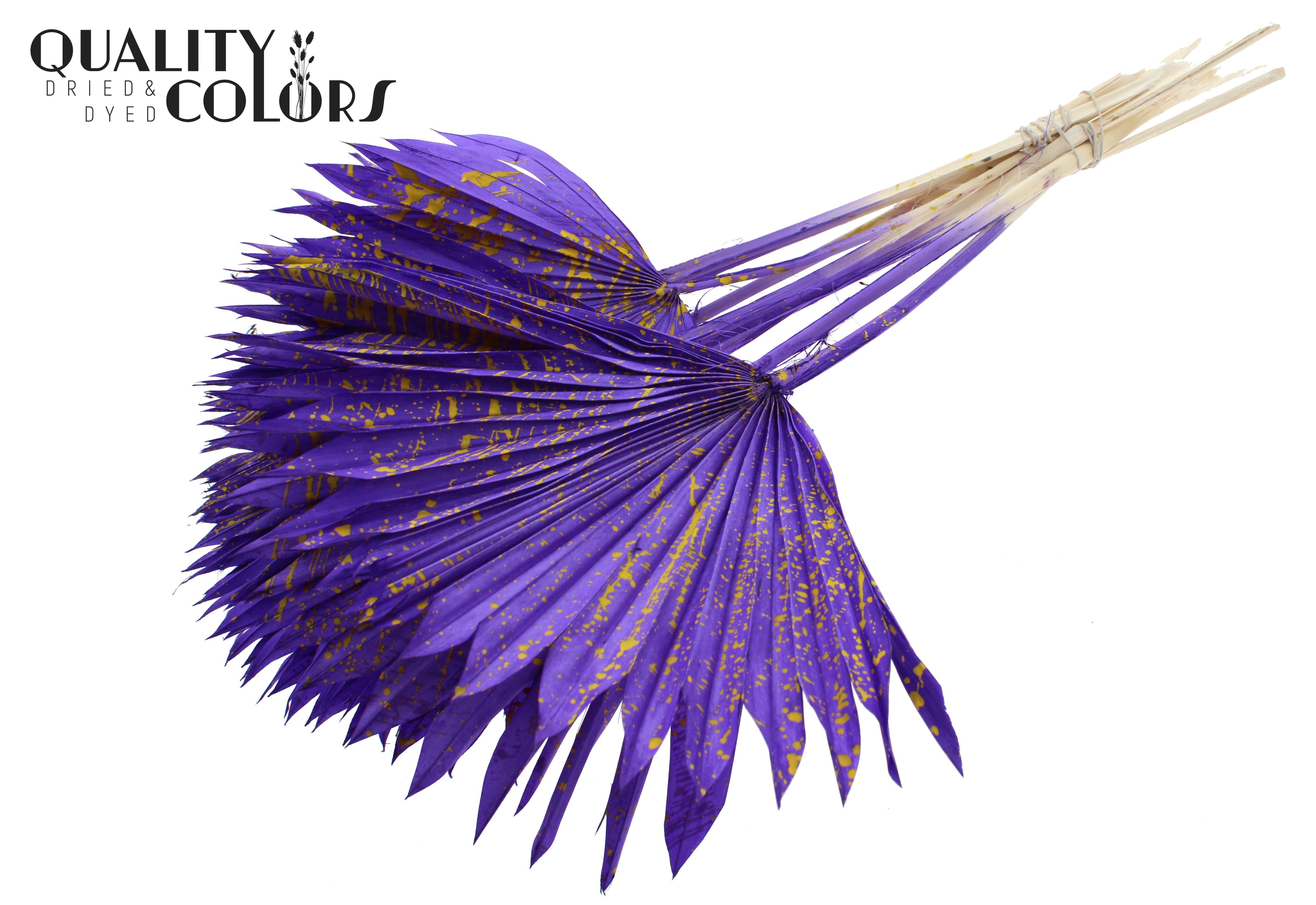 Palm Sun Splashed Purple Yellow 50cm