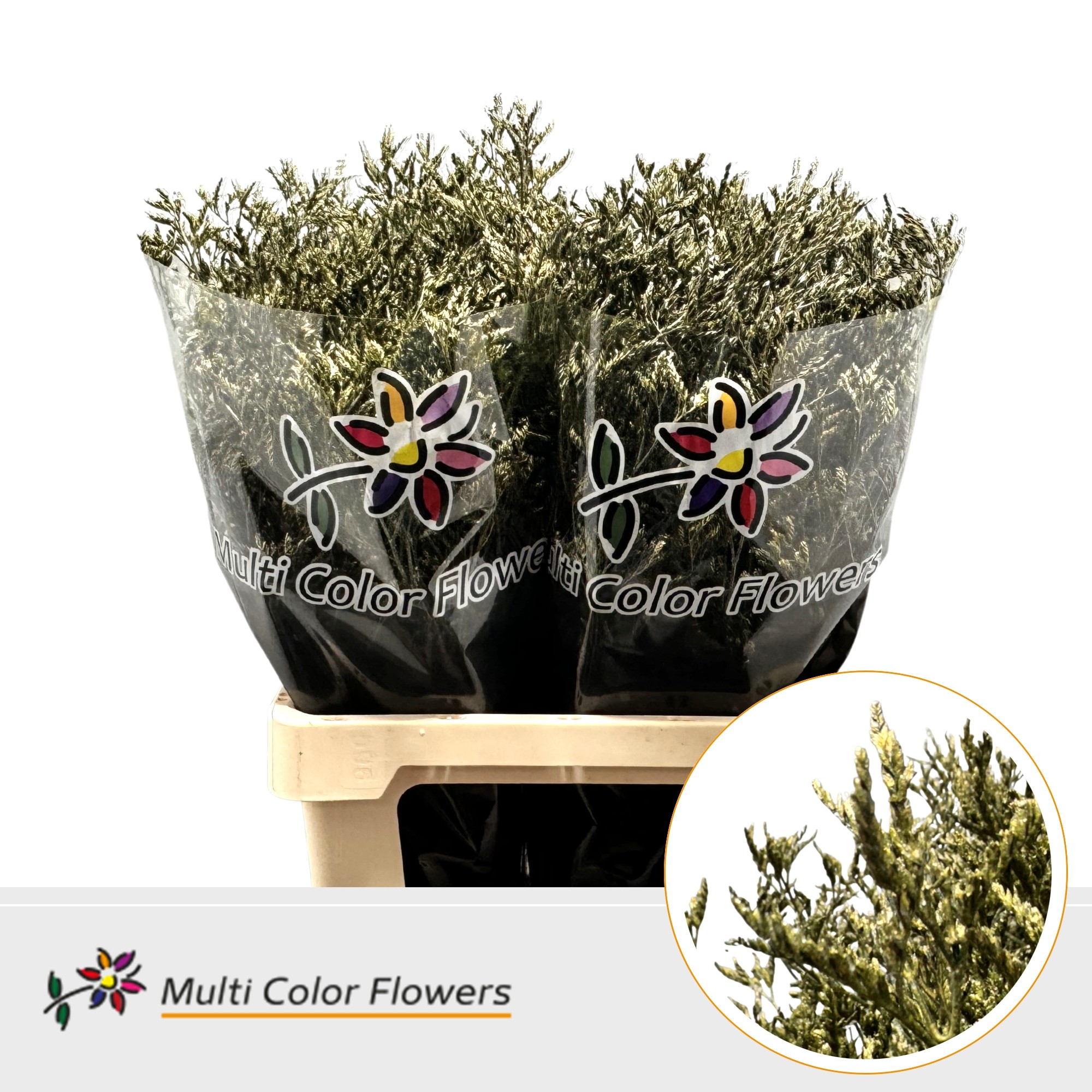 Limonium Metallic Olijf Groen