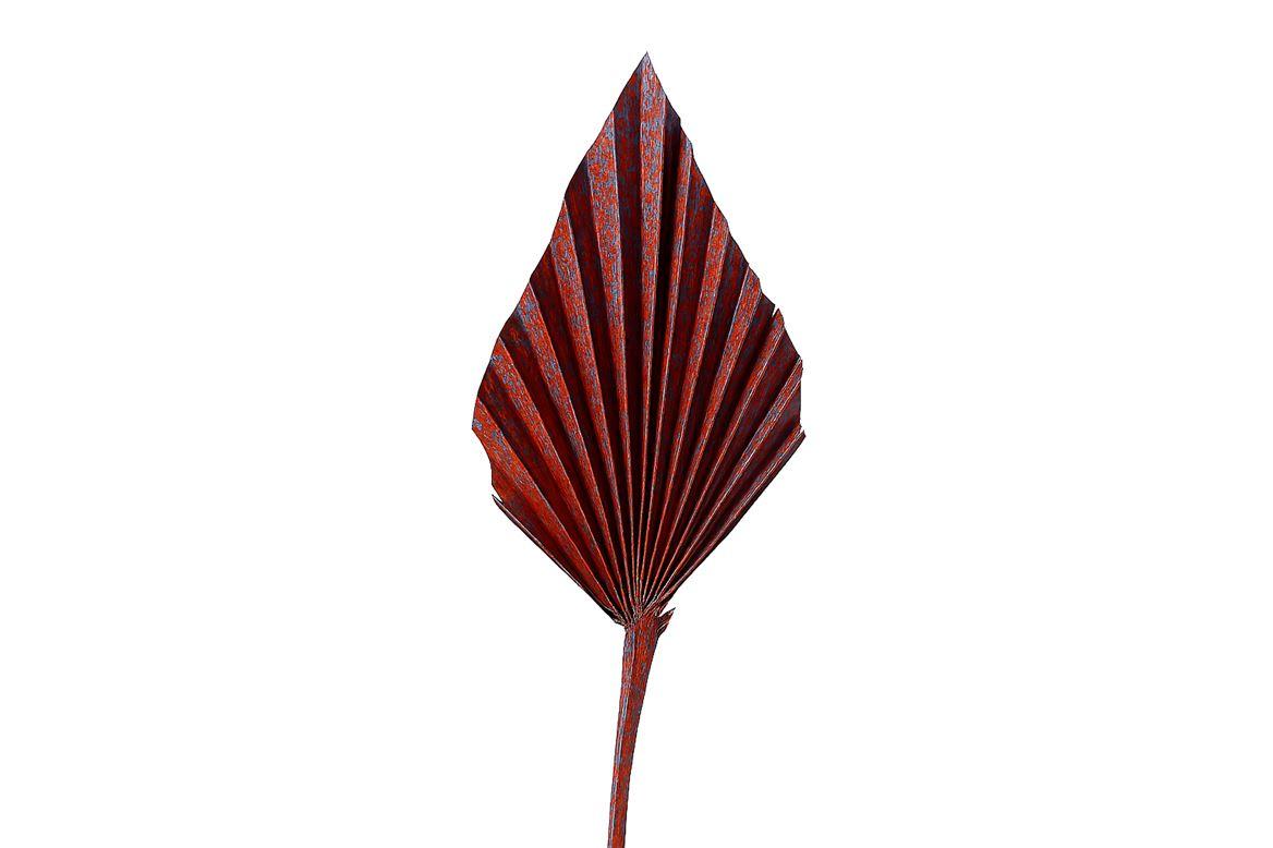 Dried Artz Palm Spear Xl Mondriaan P Stem