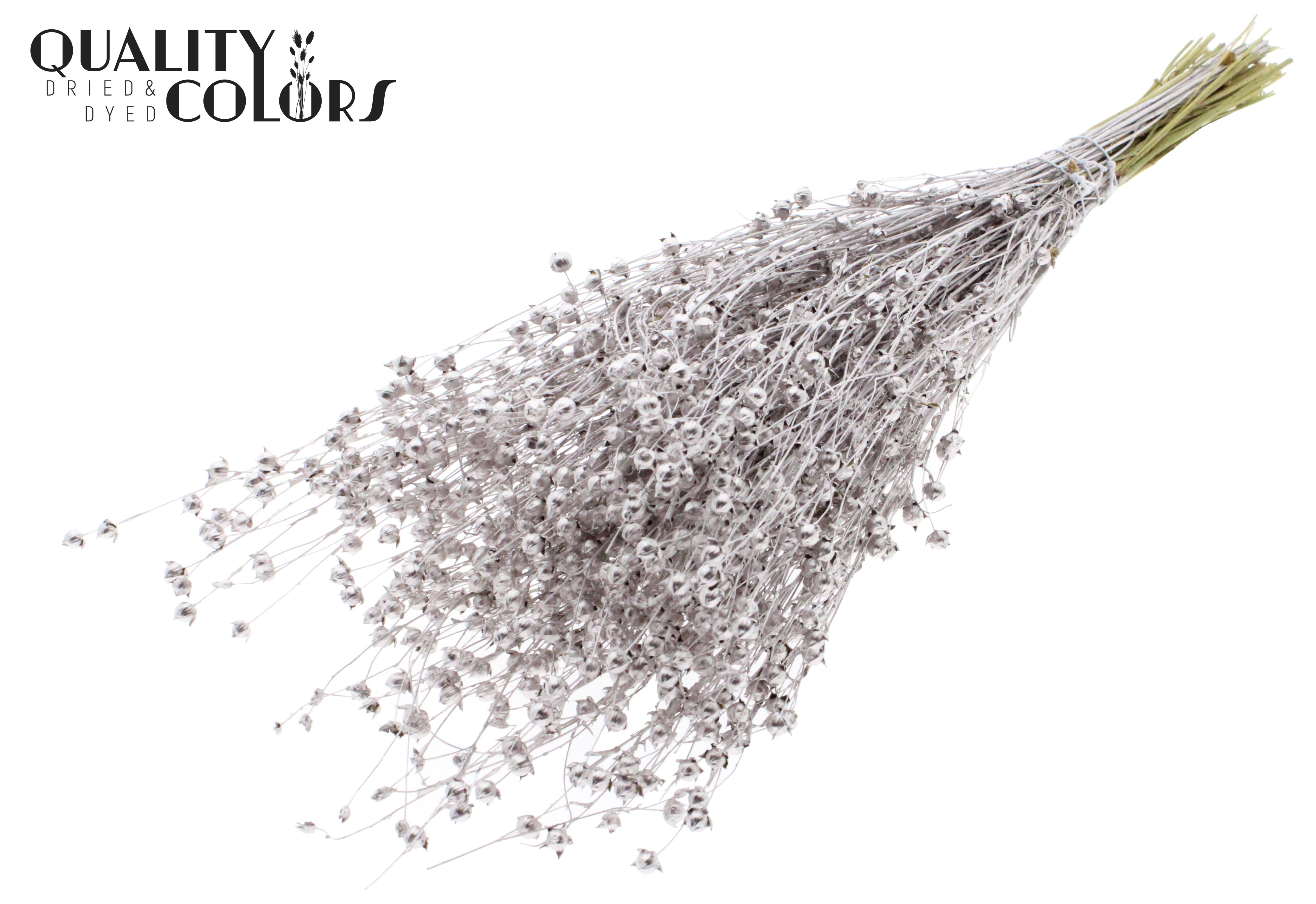 Lino Flax Champagne Per Bunch 50cm