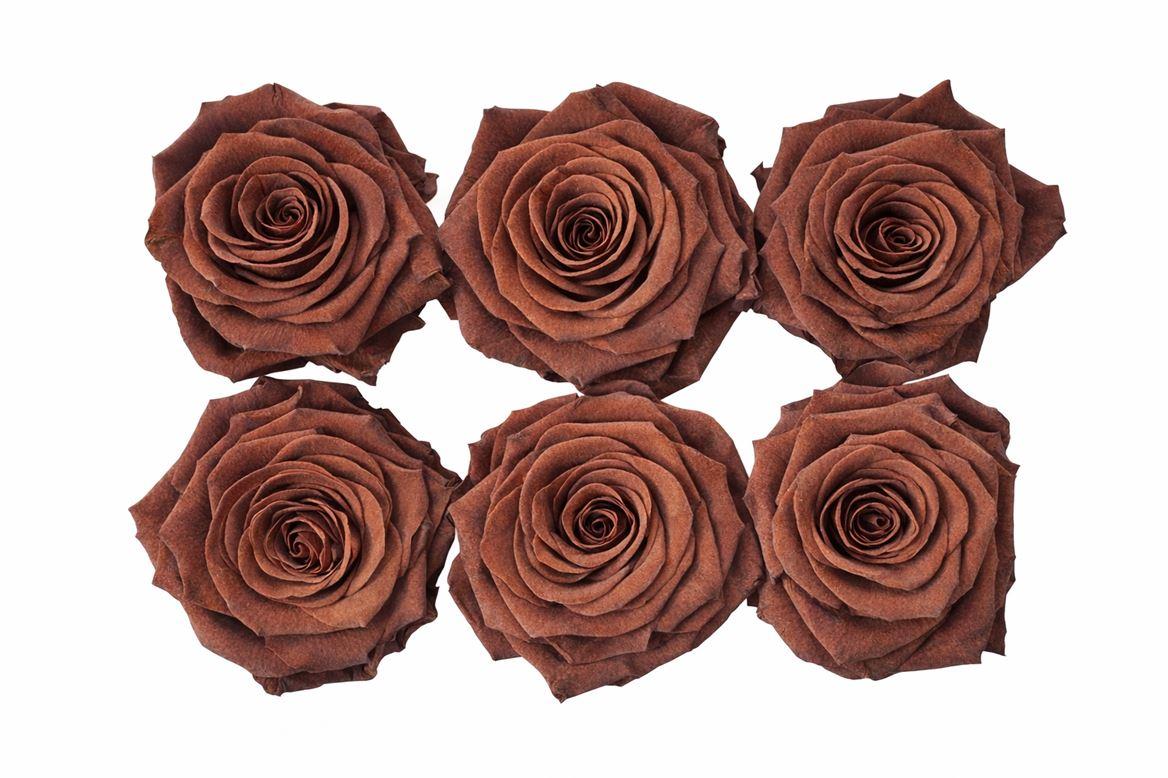 Ro Pres Classic Ebony (brown)