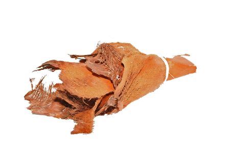 Deco Basic Palm Bakla Natural P Roll