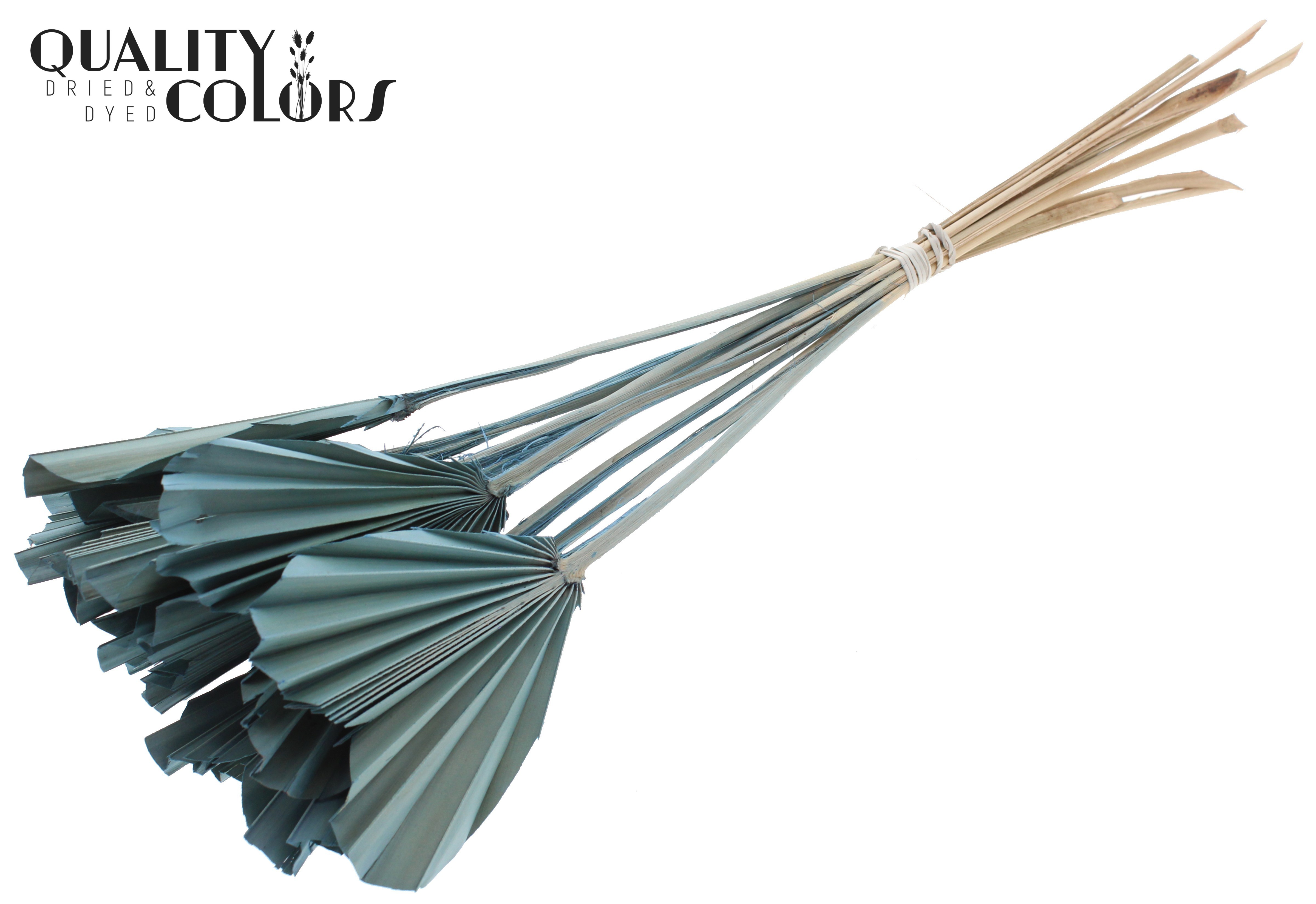 Palm Spear Heart Frosted Light Blue 45cm