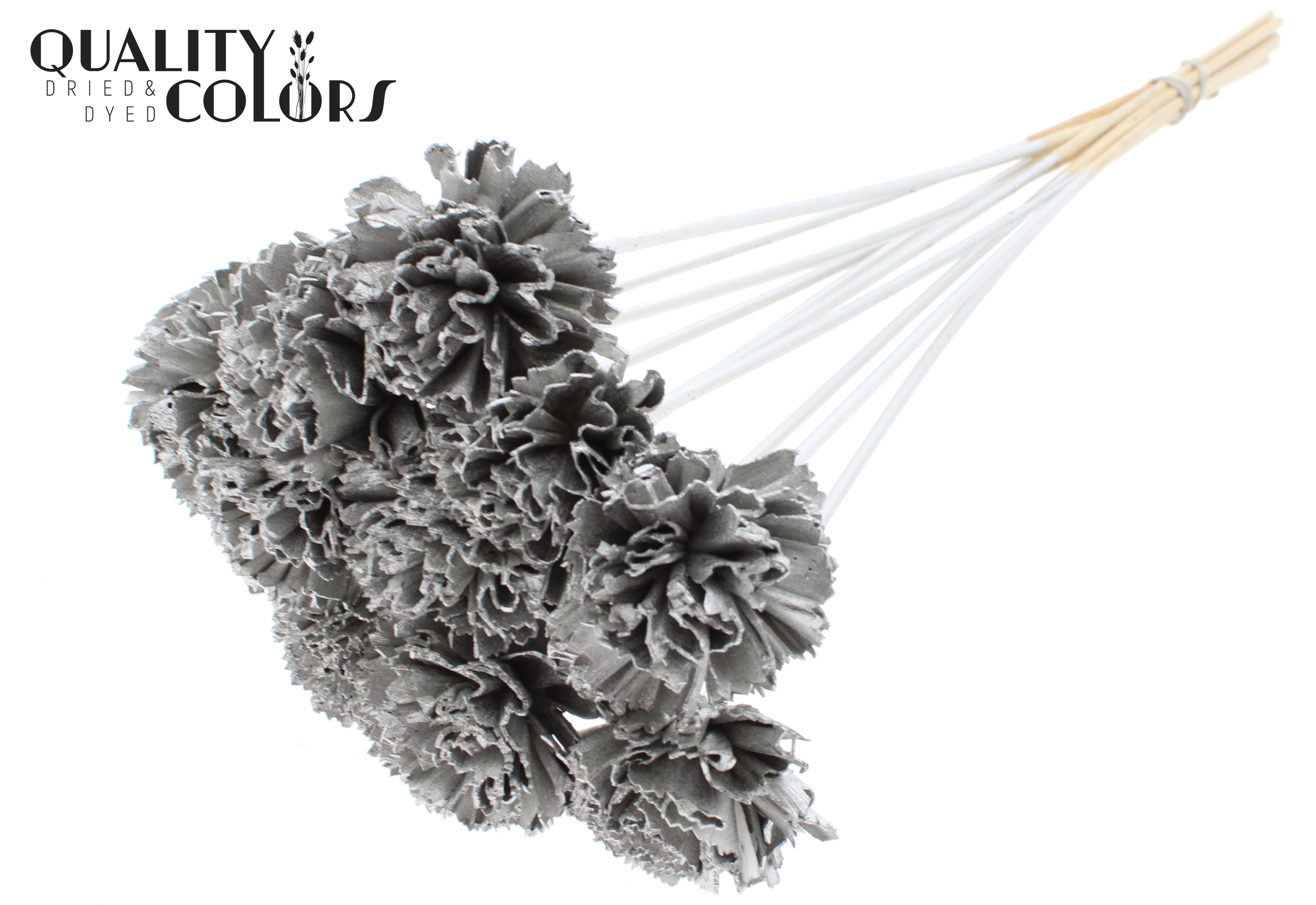 Shola Karnish Flower Platinum 50cm
