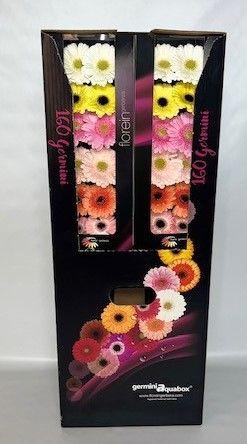 Ge Mi Gem Aquabox *160 (pastelmix)