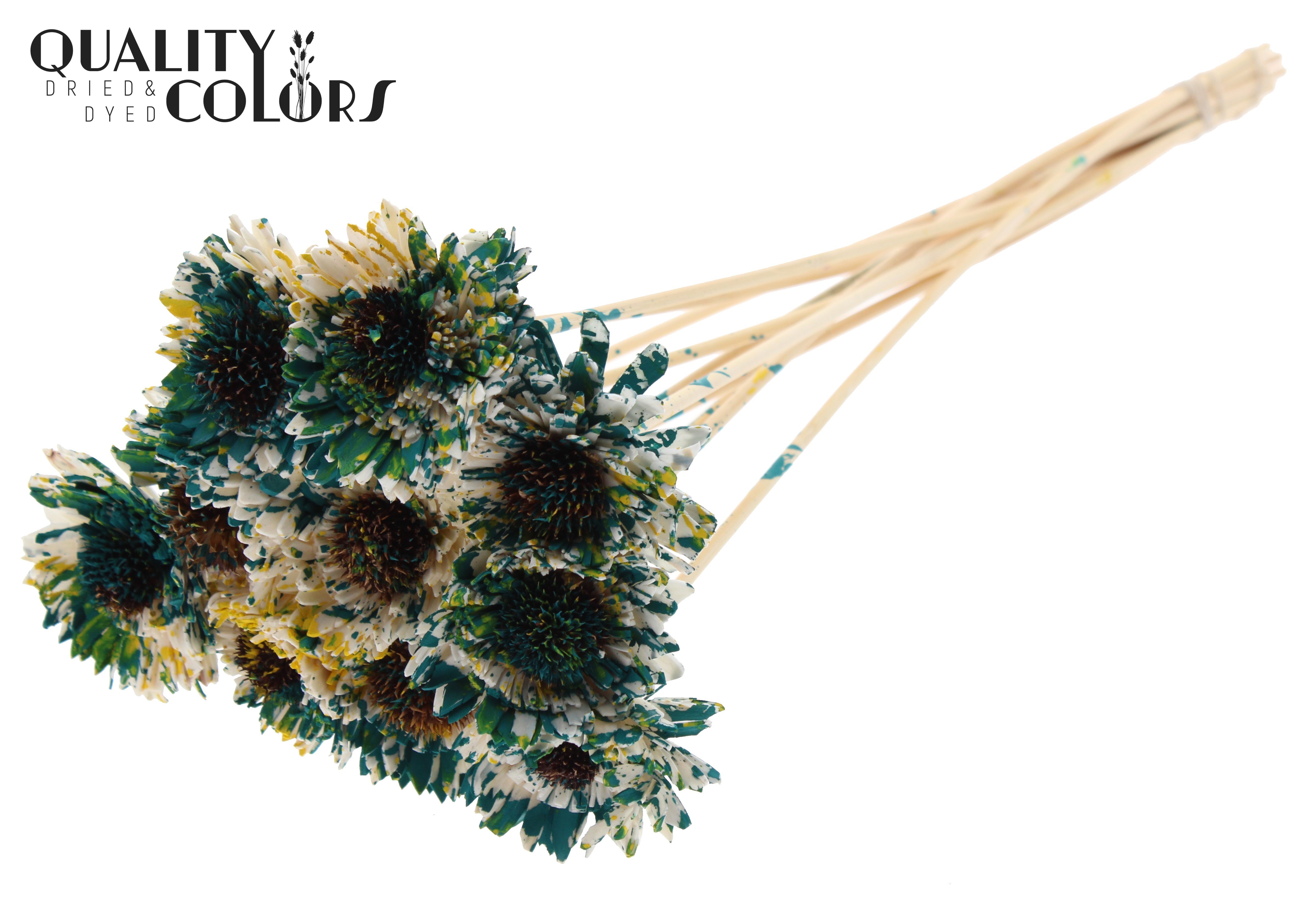 Shola Daisy Sunflower Multicolour Green Yellow 50cm