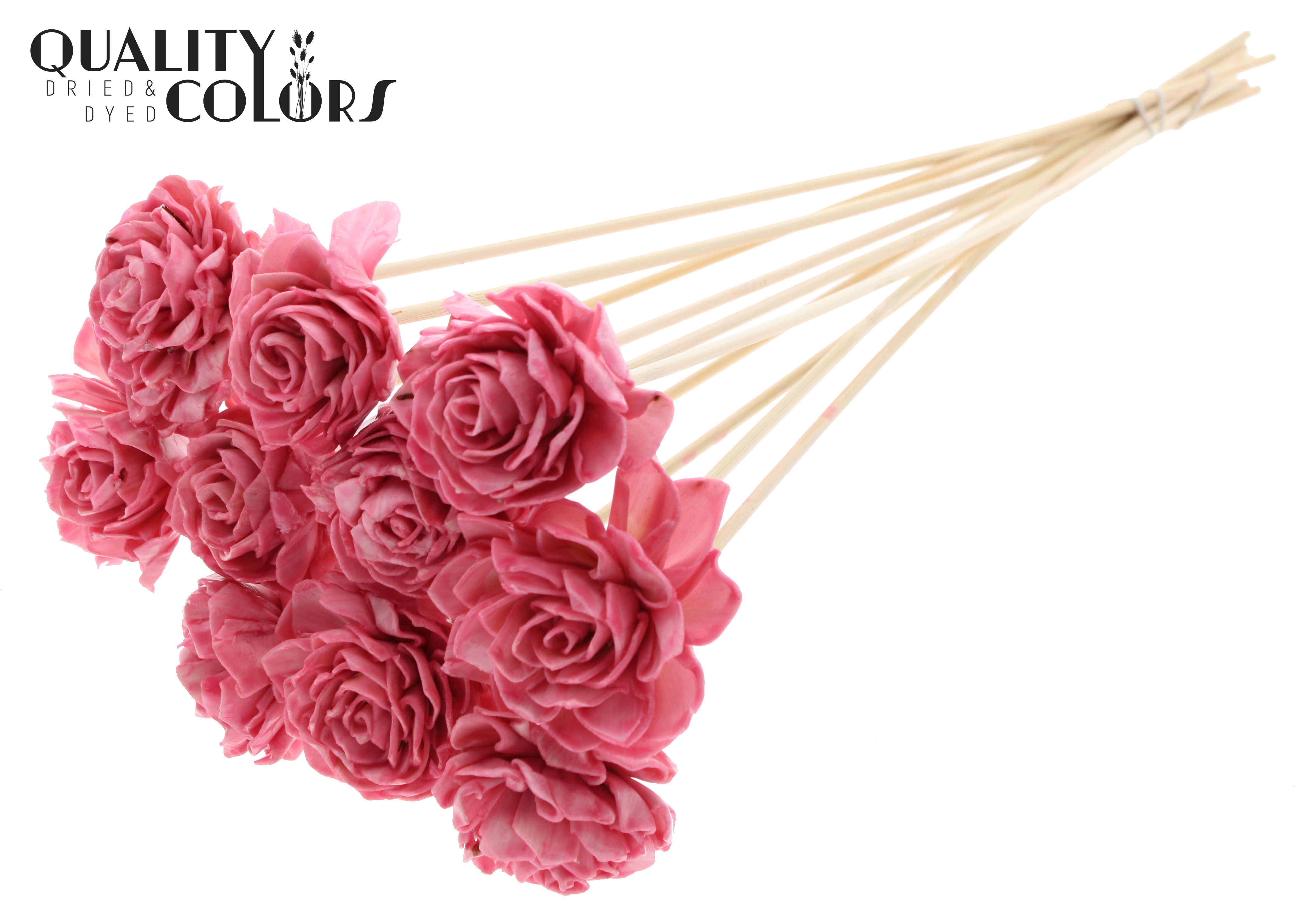 Shola Dhaliya Wax Light Pink 50cm