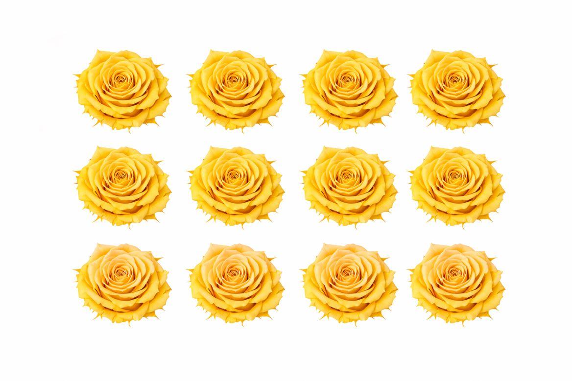 Ro Pres Mini Yellow Gold