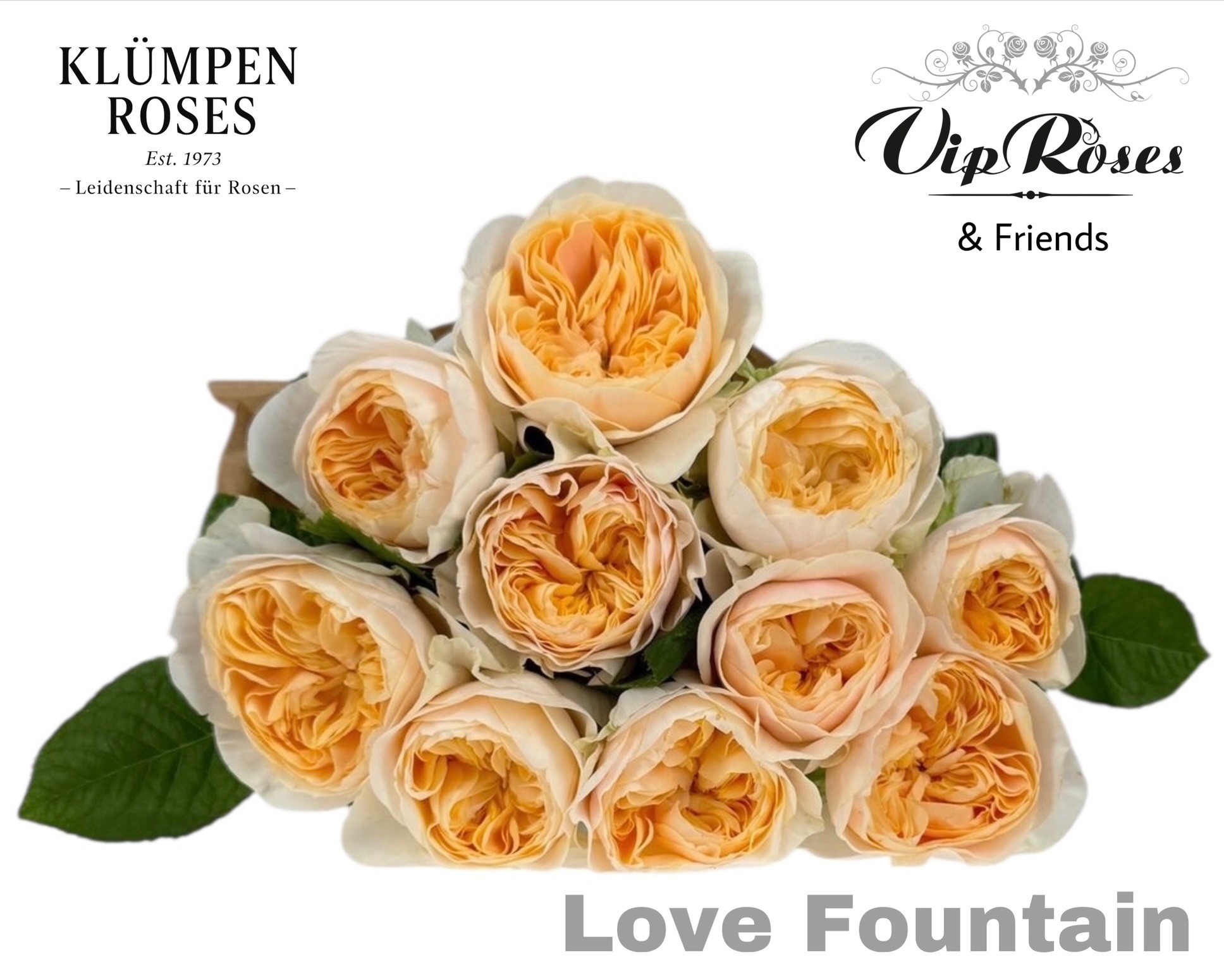 R Gr Love Fountain 60 cm
