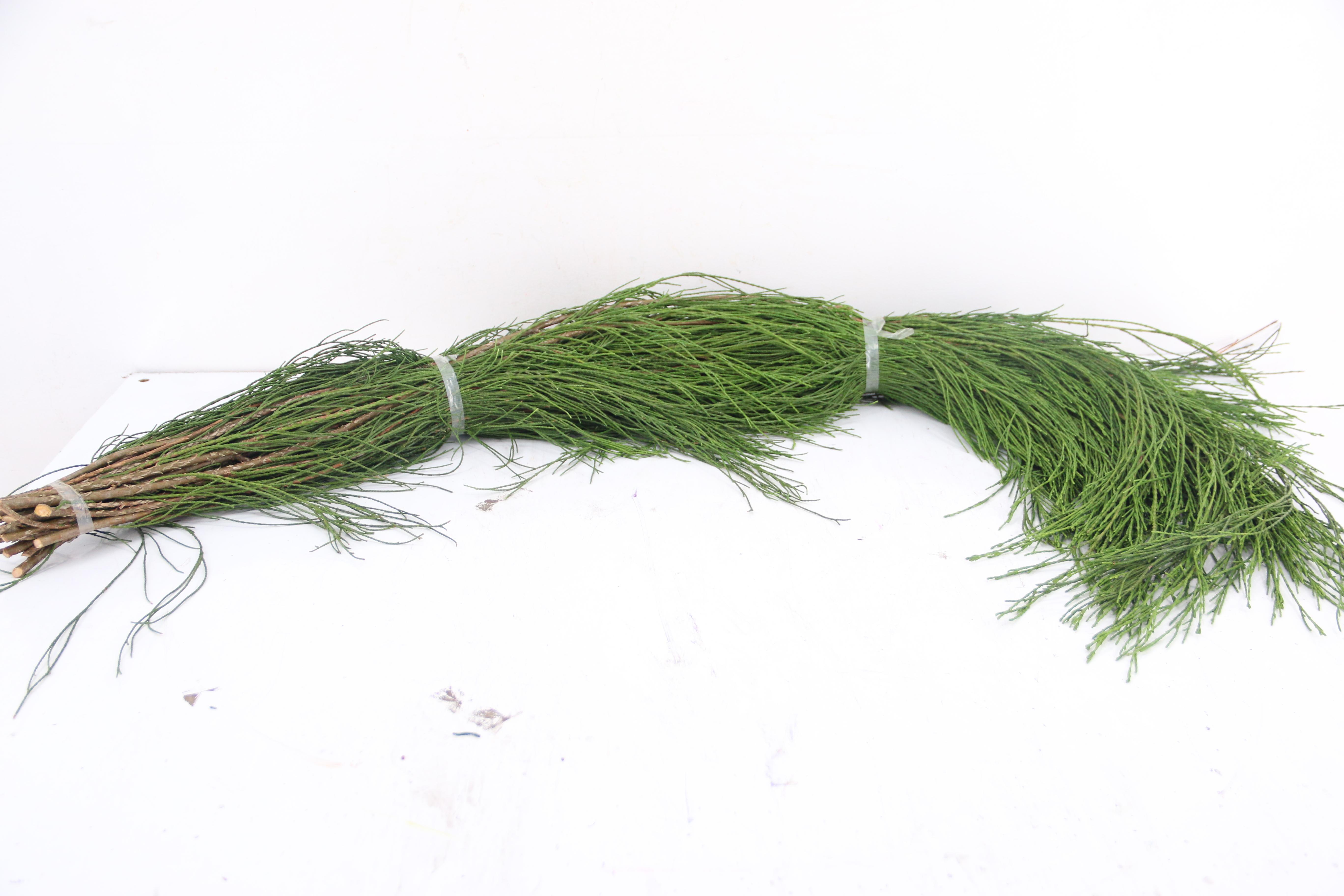 Coniferen Green 100cm