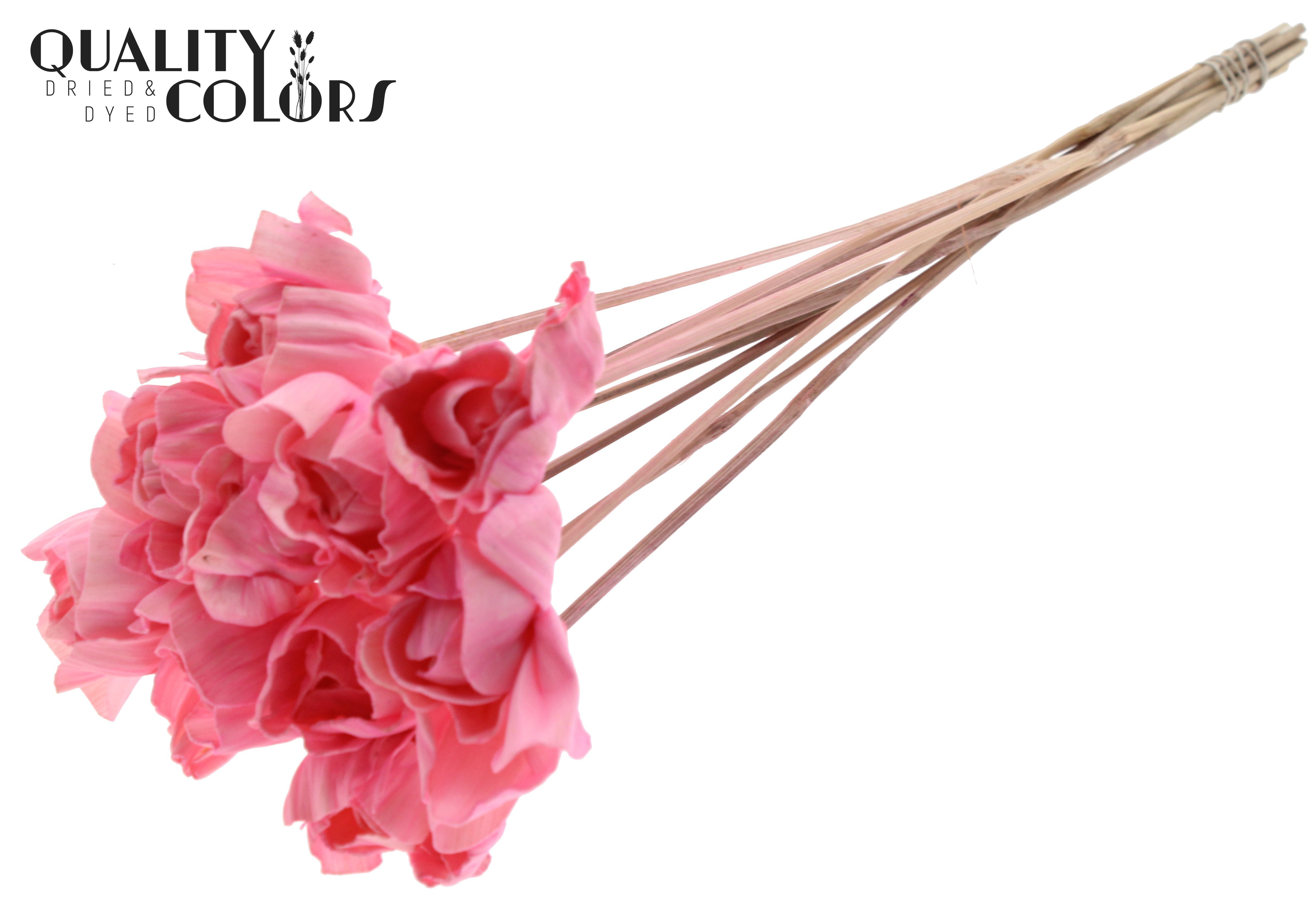 Shola Dear Holly Light Pink 50cm