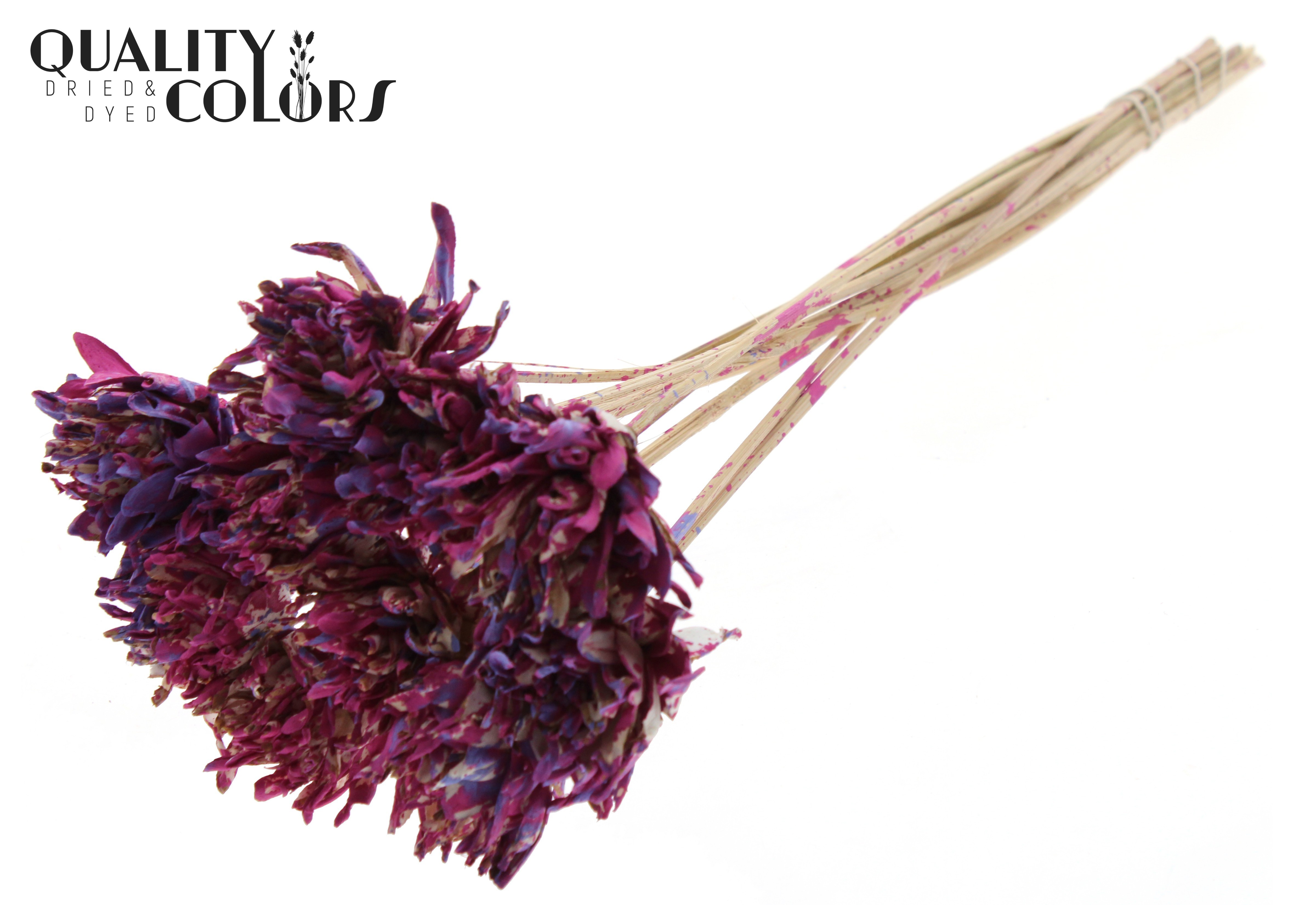 Shola Slice Pine Multicolour Cerise Milka 50cm