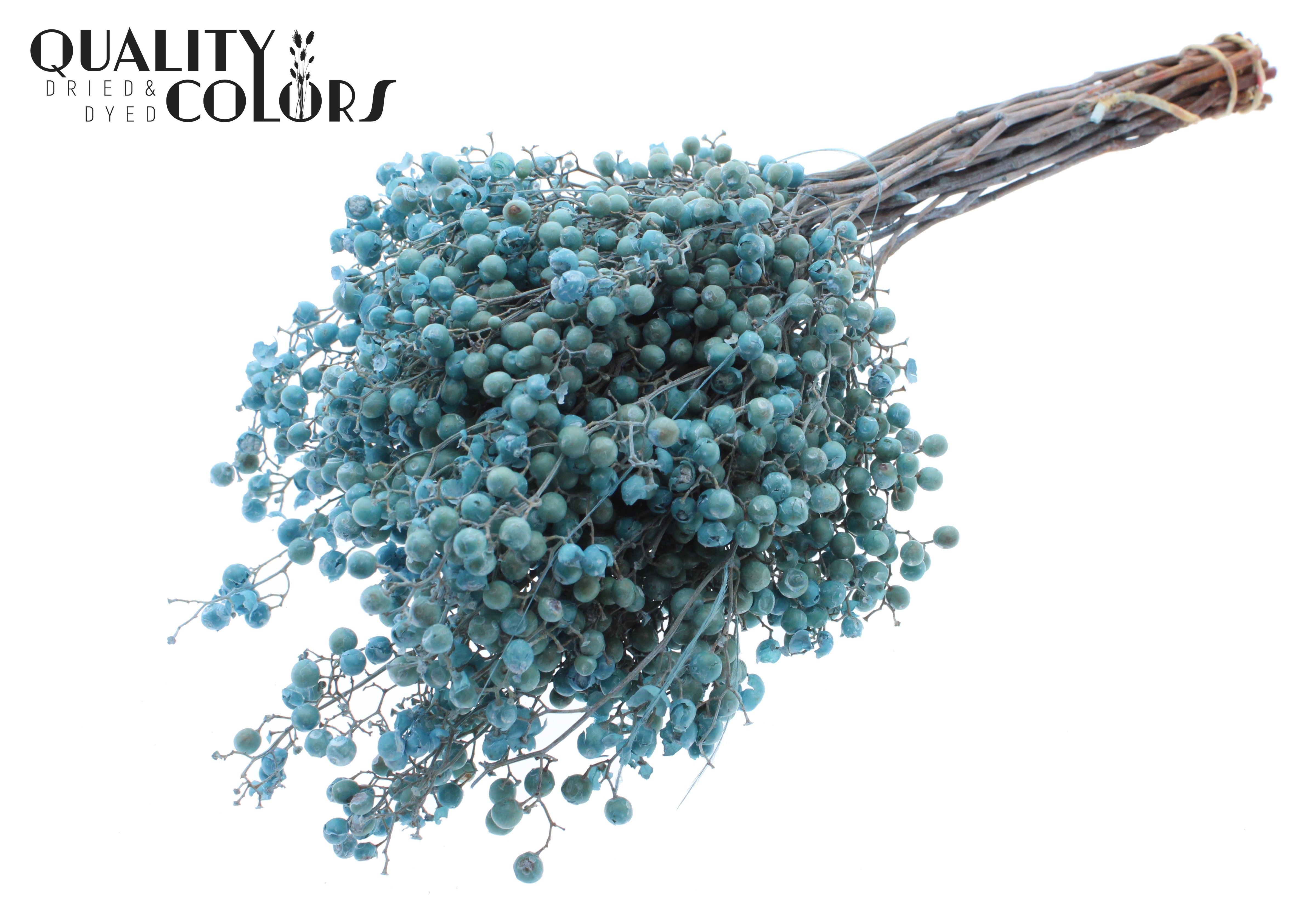 Schinus Mollis Light Blue Per Bunch