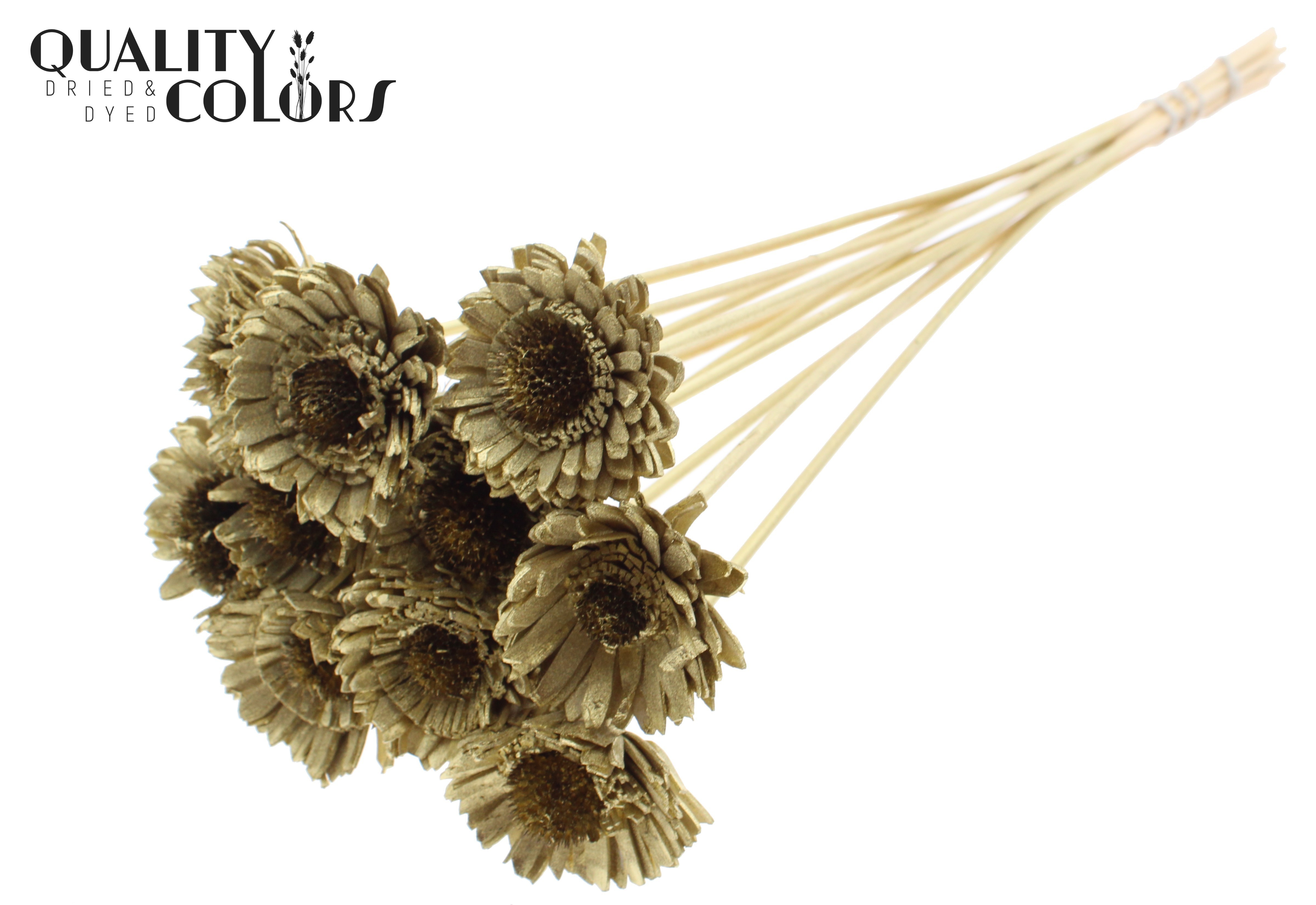 Shola Daisy Sunflower Gold 50cm