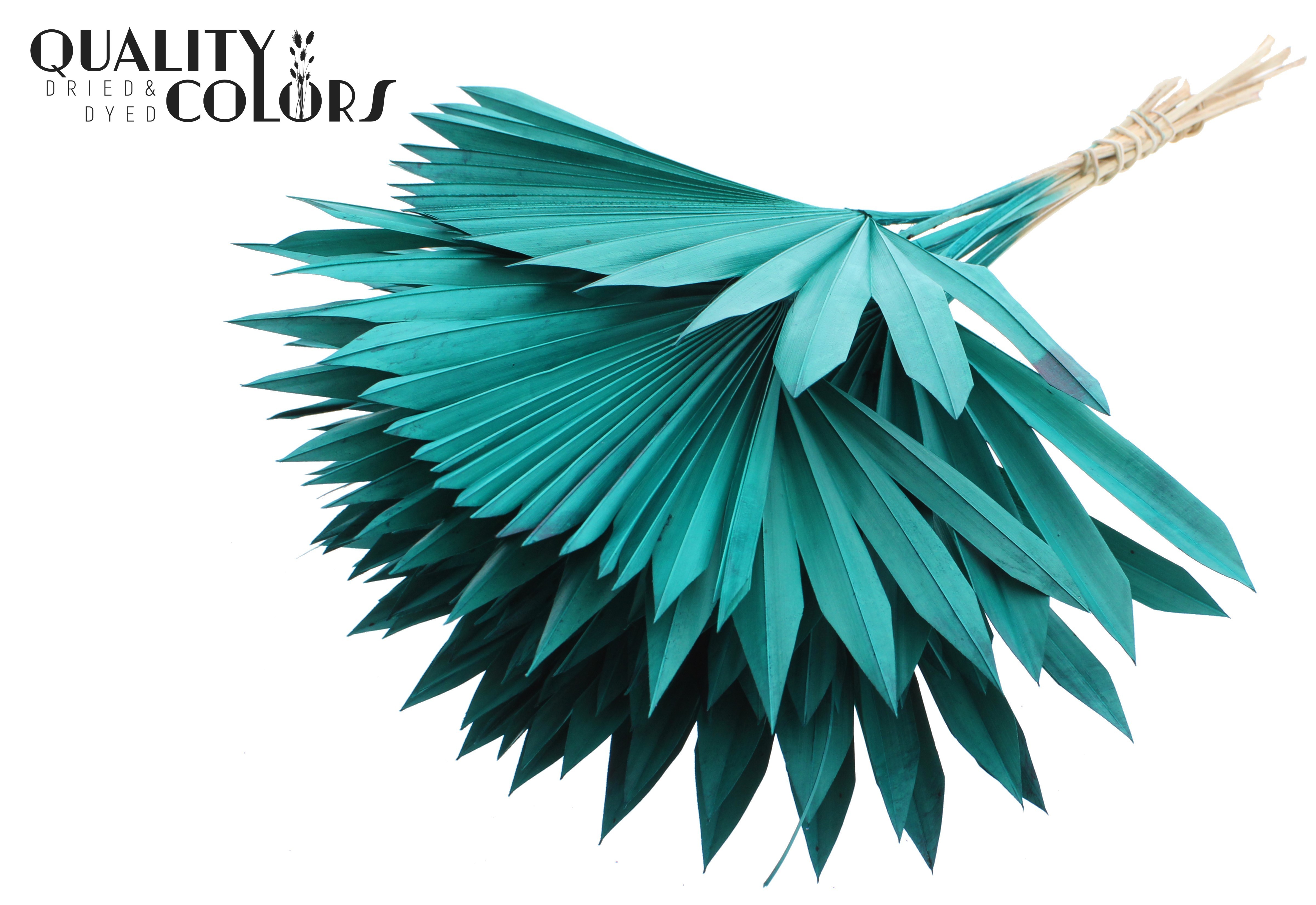 Palm Sun Turquoise 50cm
