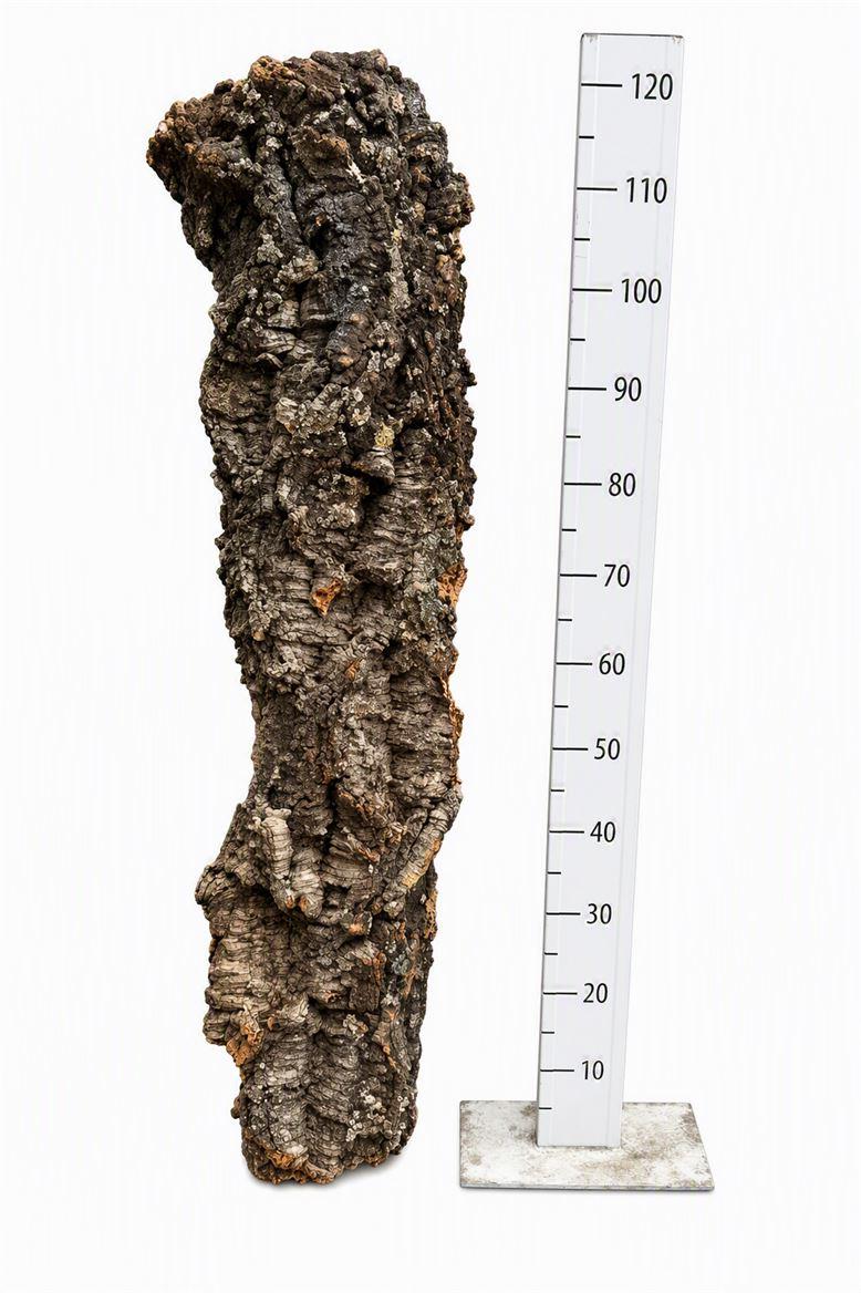Cork One Piece ±5kg 120cm