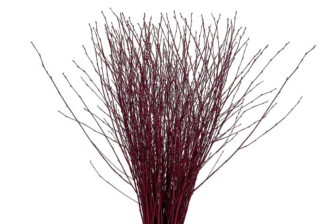 Berk 70cm Cerise Pbs