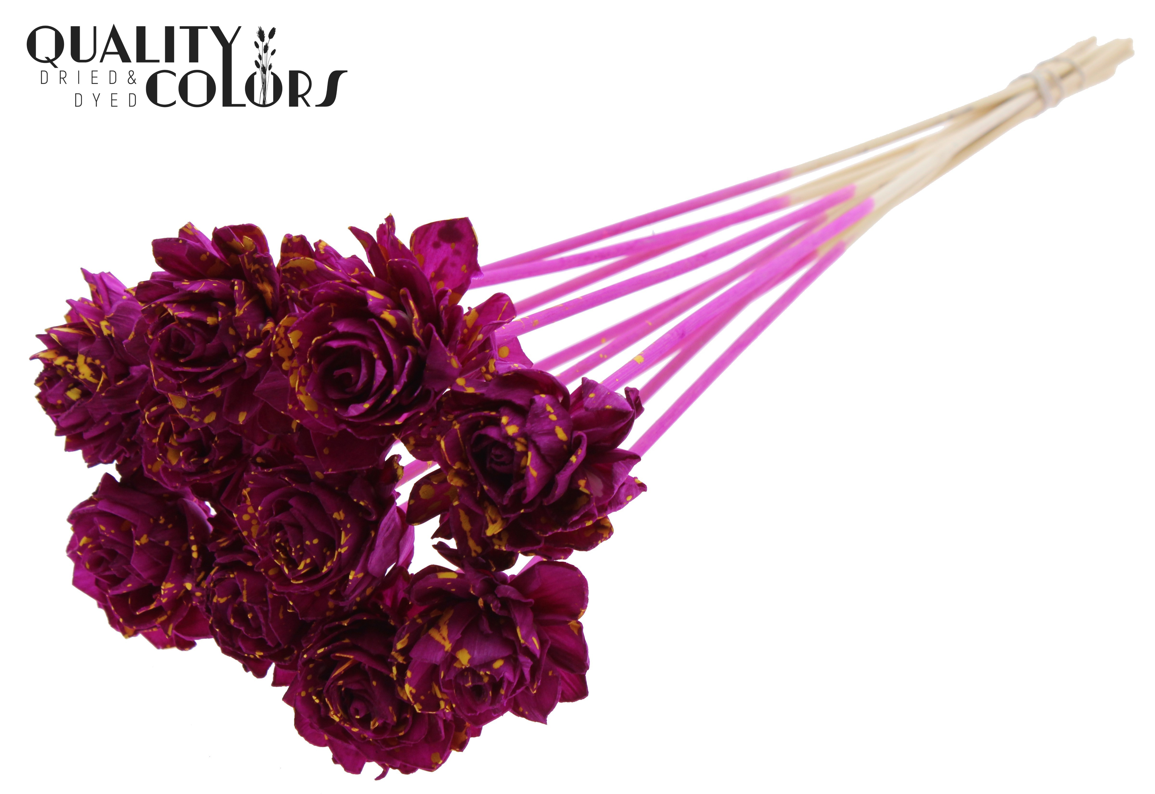 Shola Dhaliya Splashed Lilac Yellow 50cm