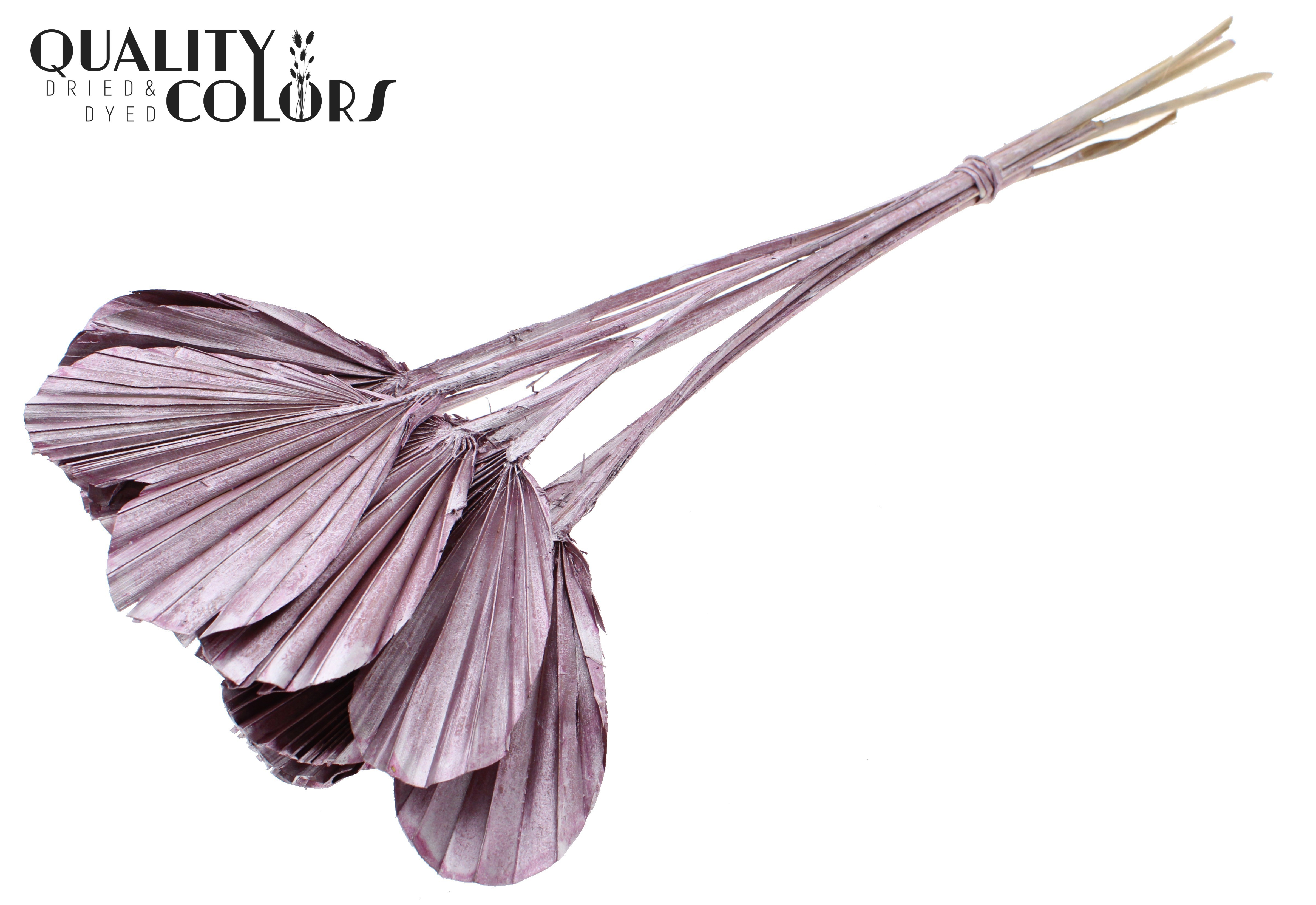 Palm Spear Heart Metallic Pink 45cm