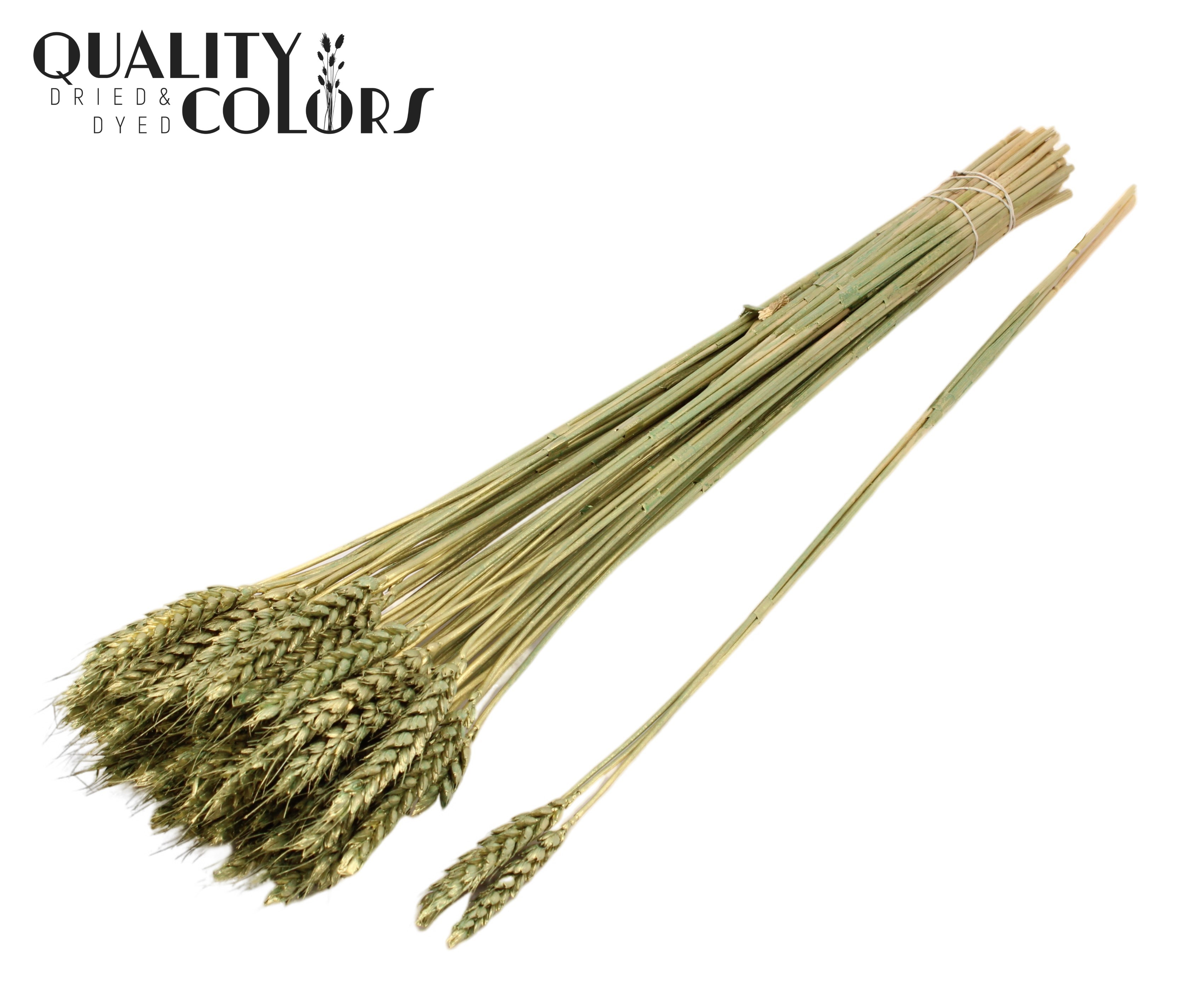 Triticum Tuft Antique Green 55cm