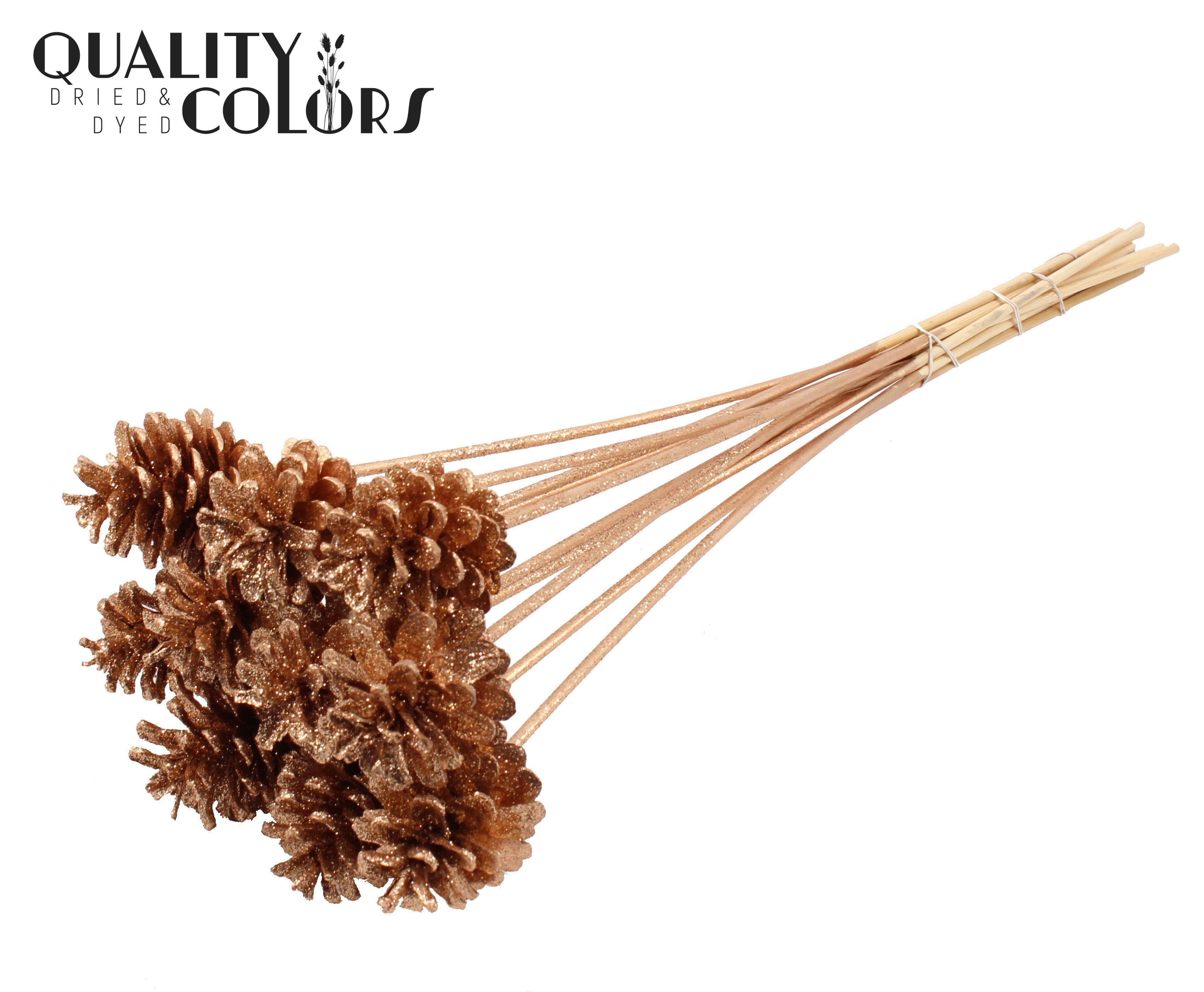Pine Cone Antique Gold + Glitter 50cm