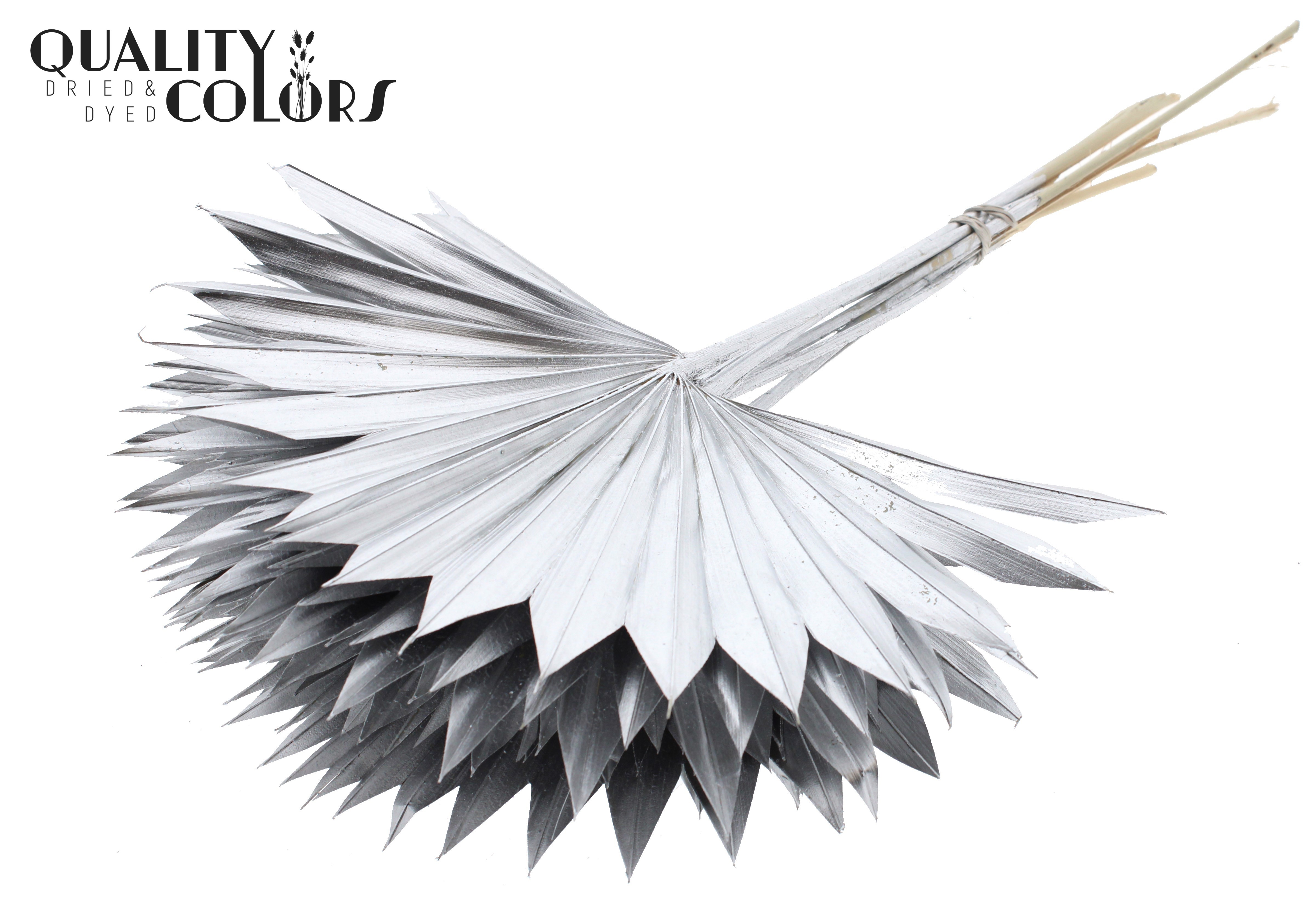Palm Sun Silver 50cm