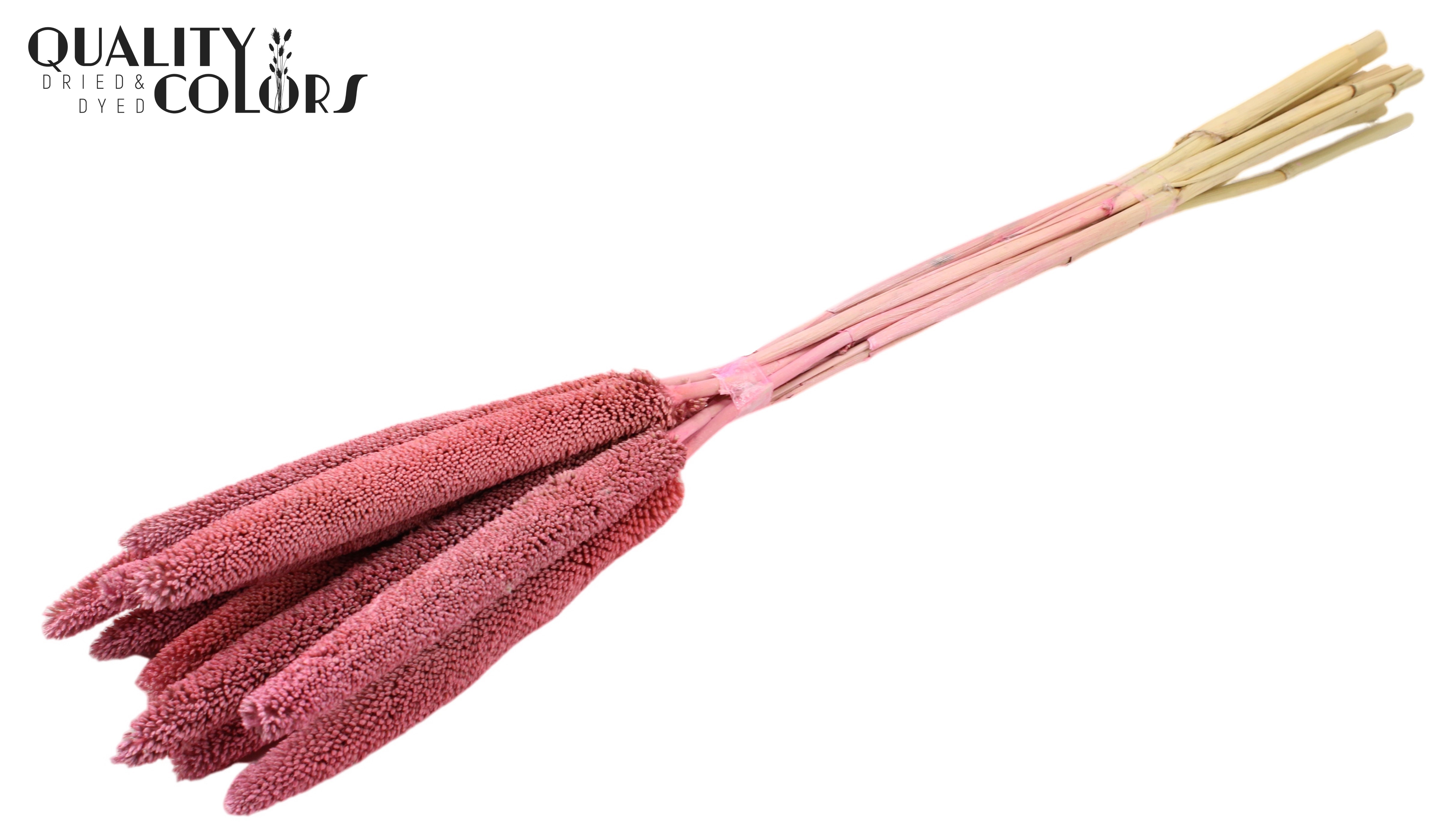 Babala Frosted Pink 65cm