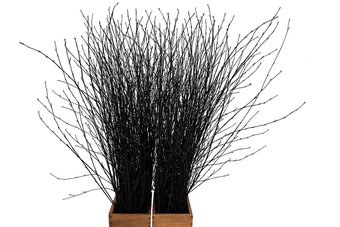 Berk 70cm Zwart Pbs