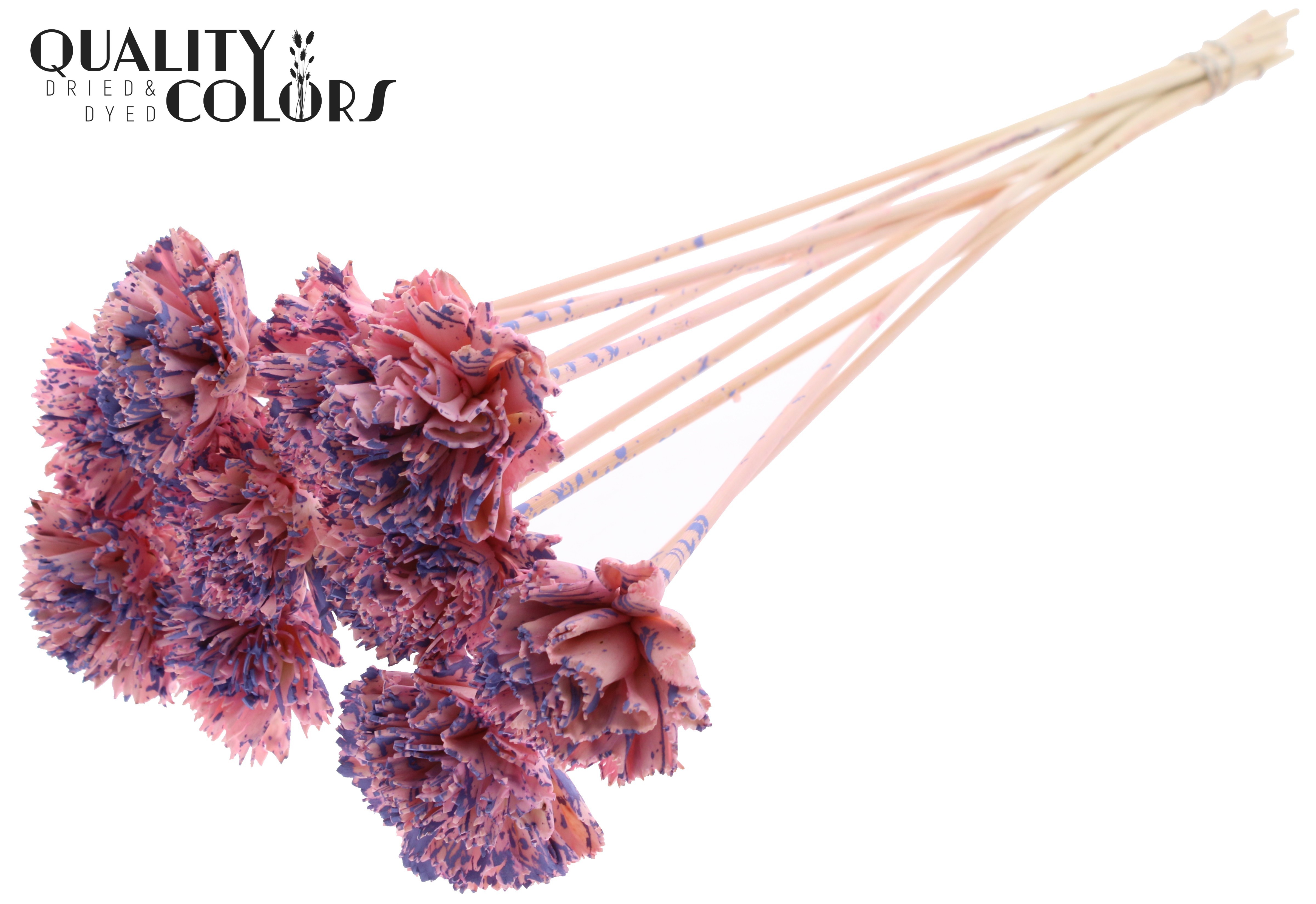 Shola Karnish Flower Splashed Pink Milka 50cm