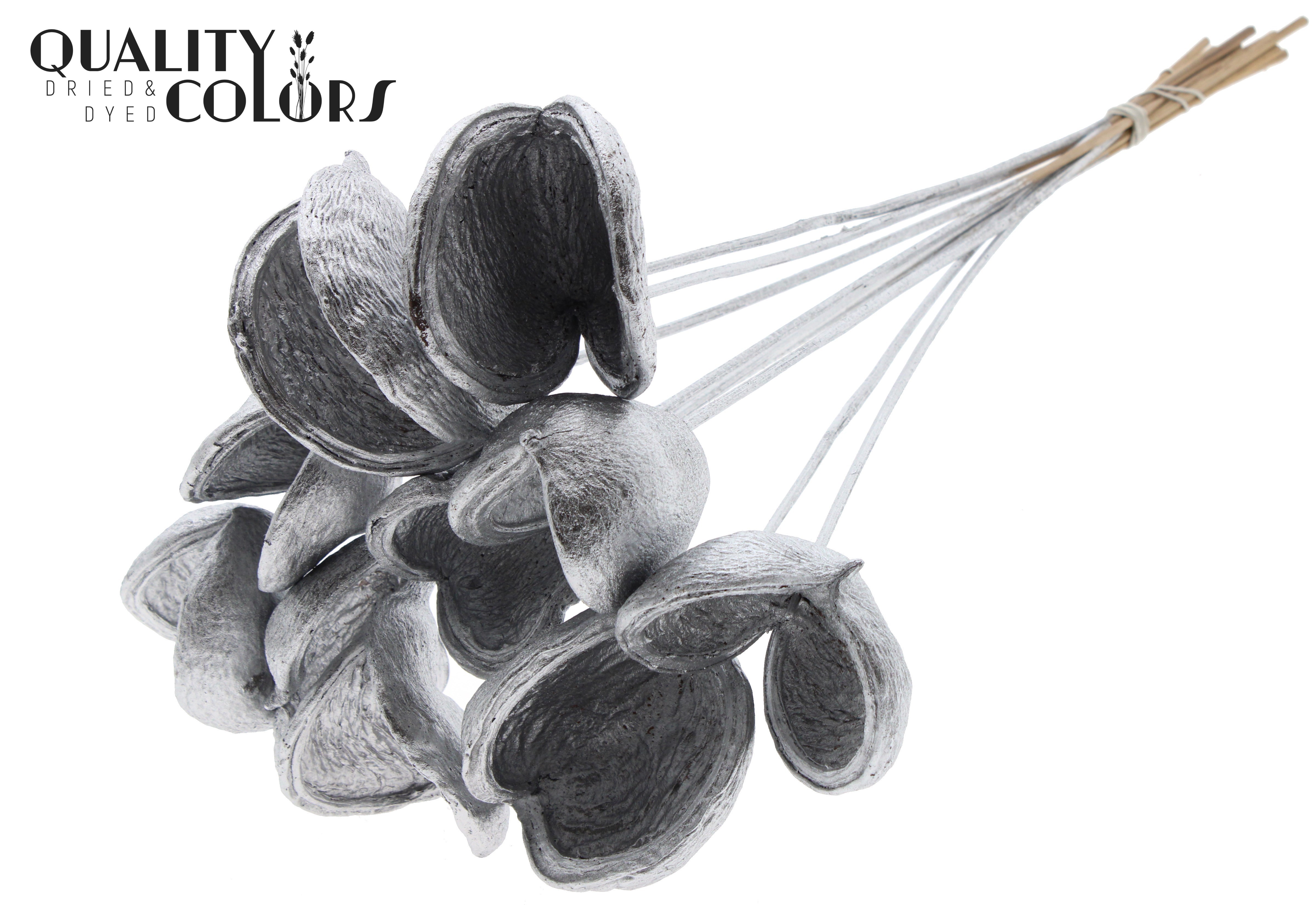 Badam Silver 50cm