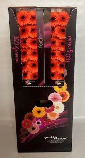 Ge Mi Caramba Aquabox *160