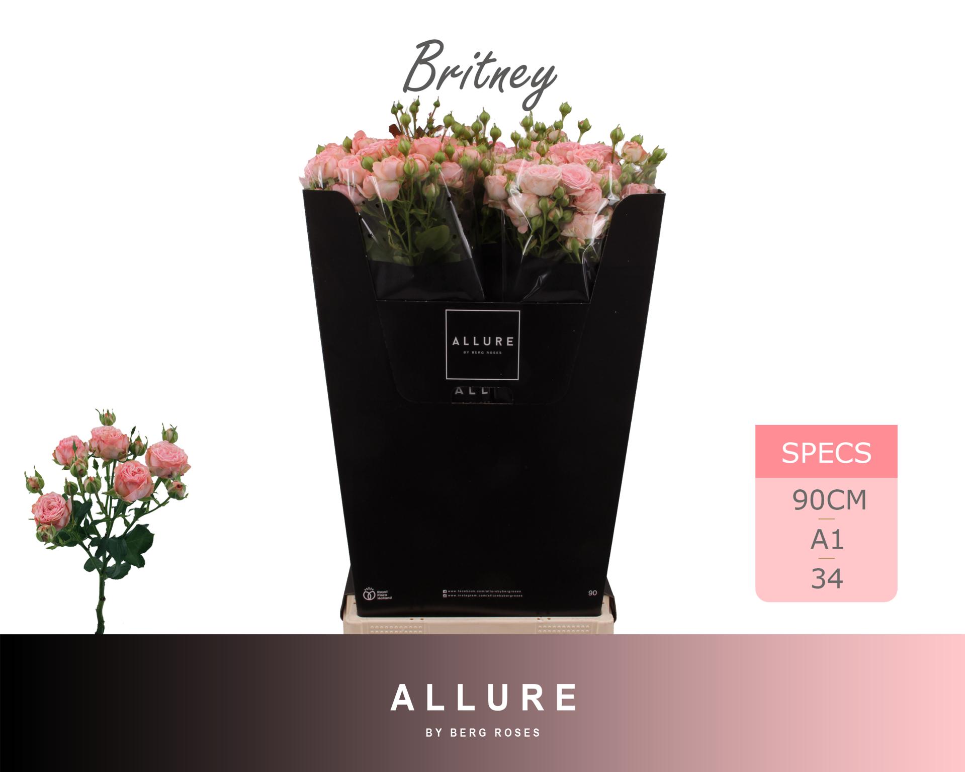 R Tr Britney 90cm