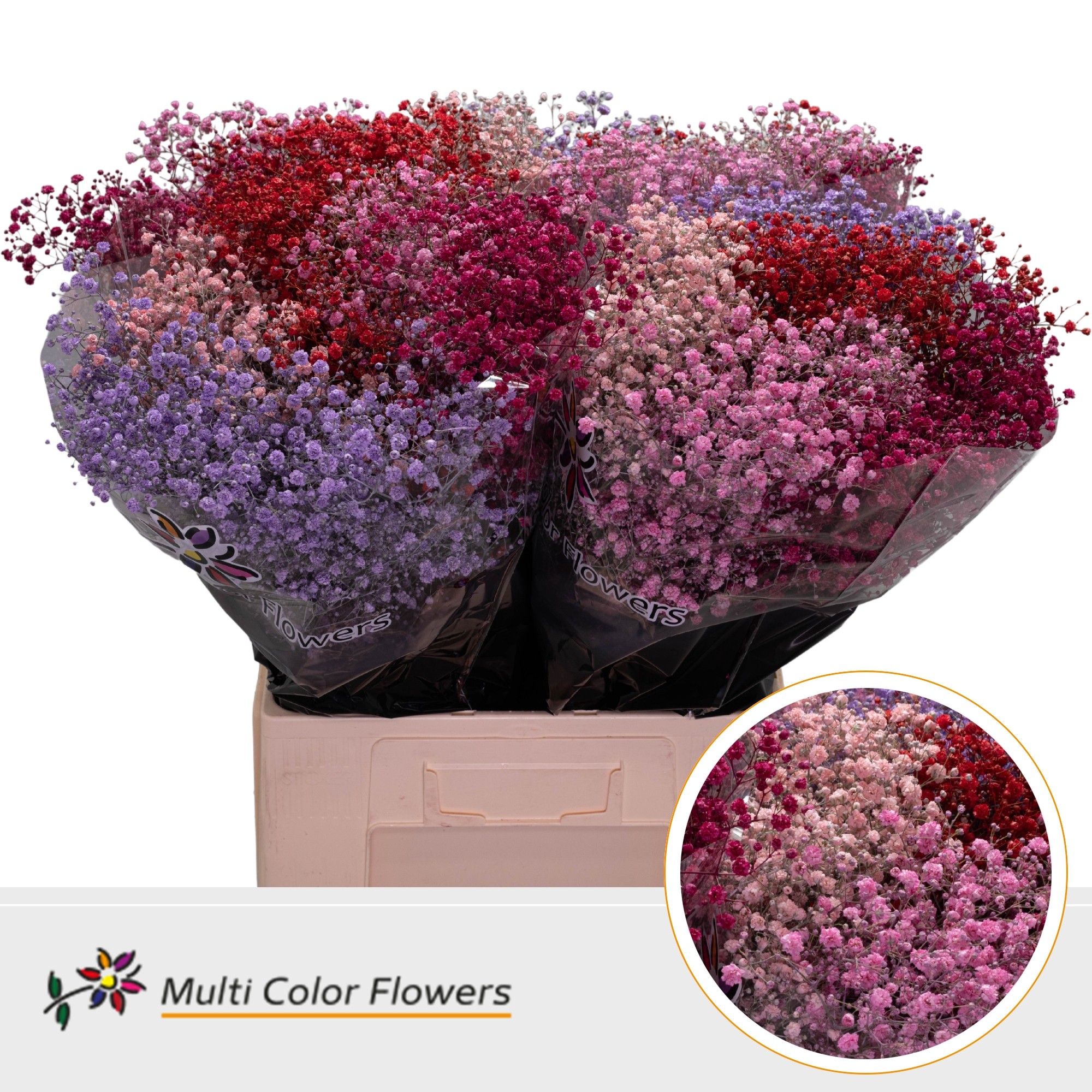 Gypsophila Painted Xlence Love Mix 70cm