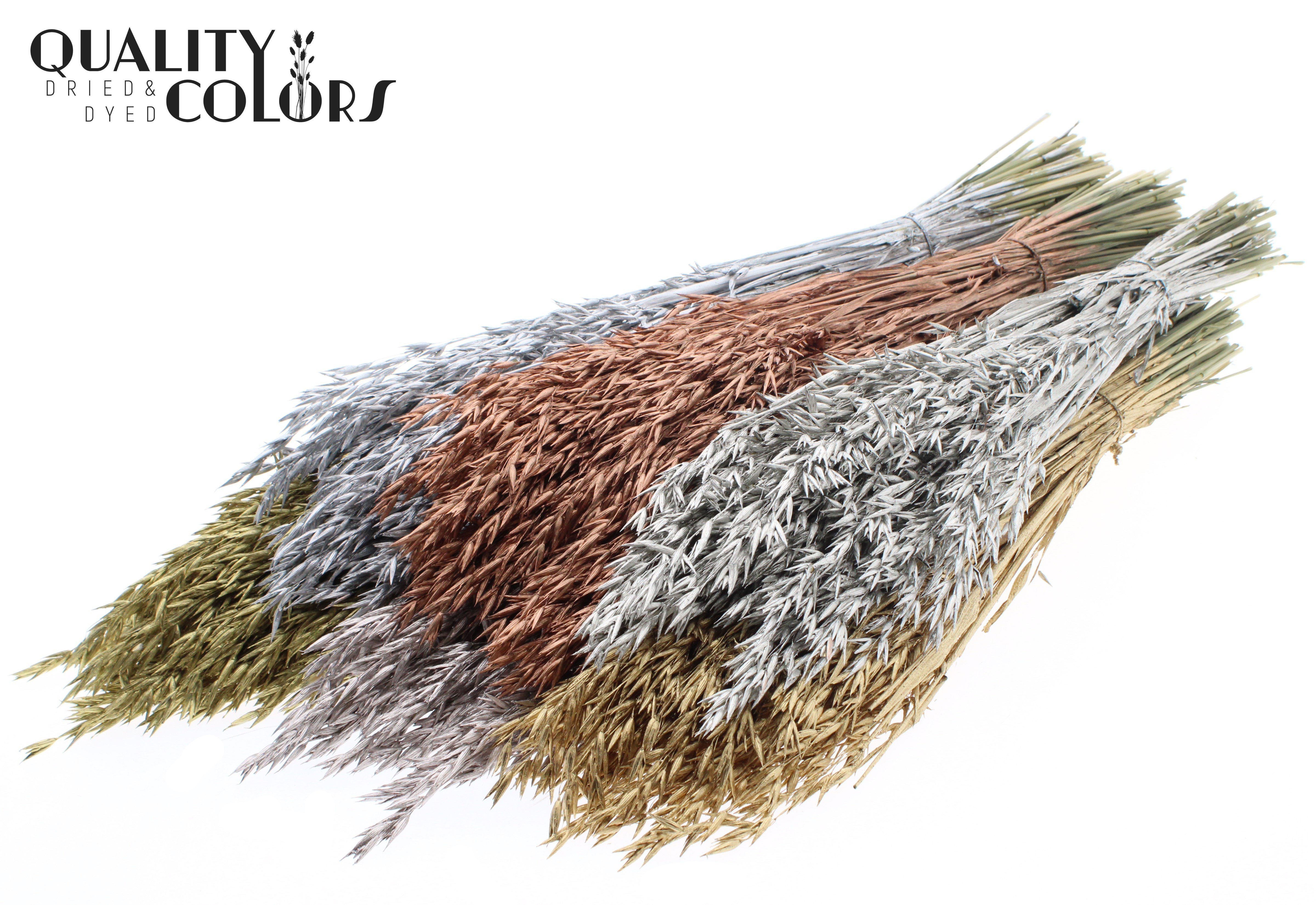 Avena Wedding Mix Per Bunch 60cm