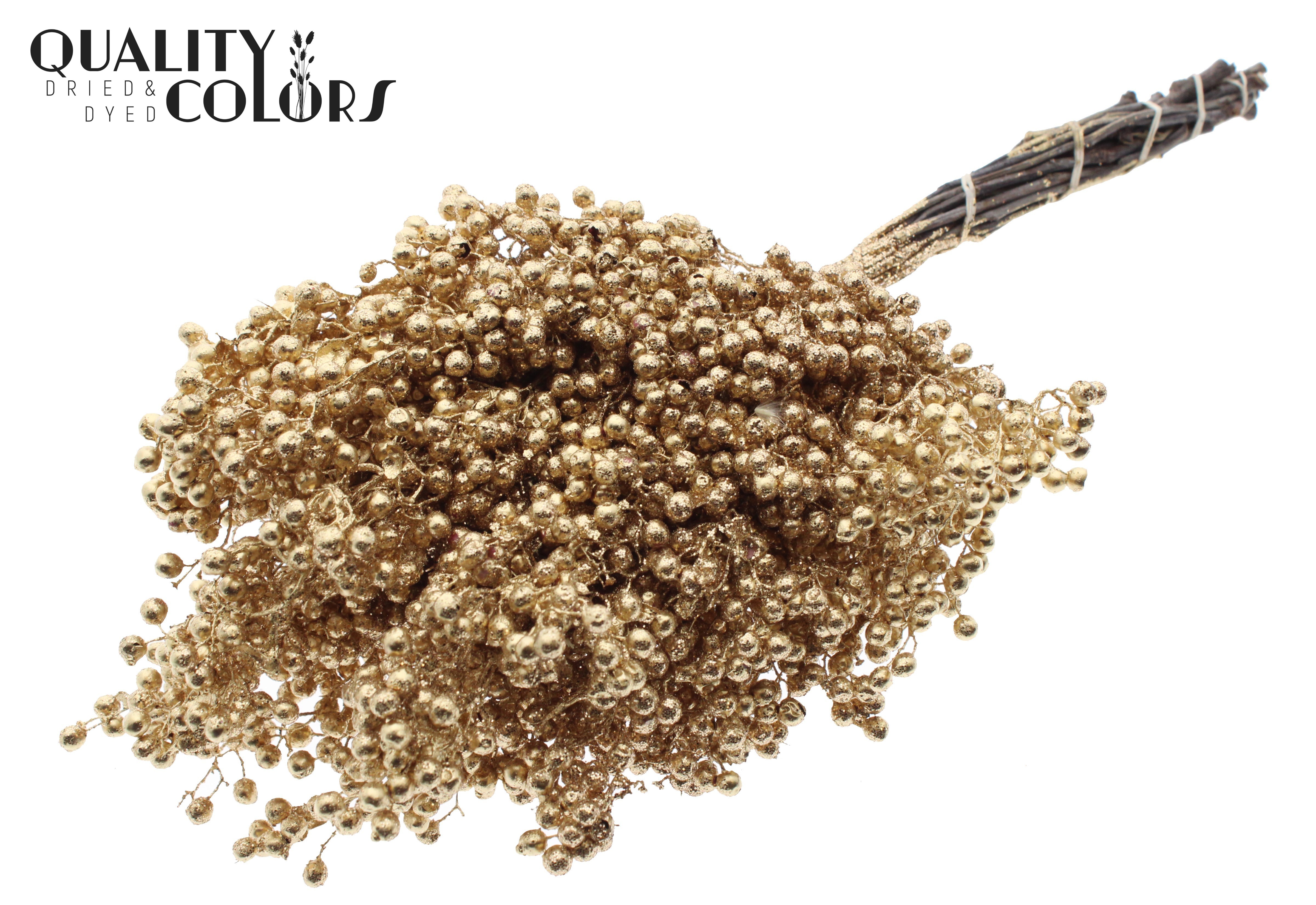 Schinus Mollis Antique Gold + Glitter Per Bunch
