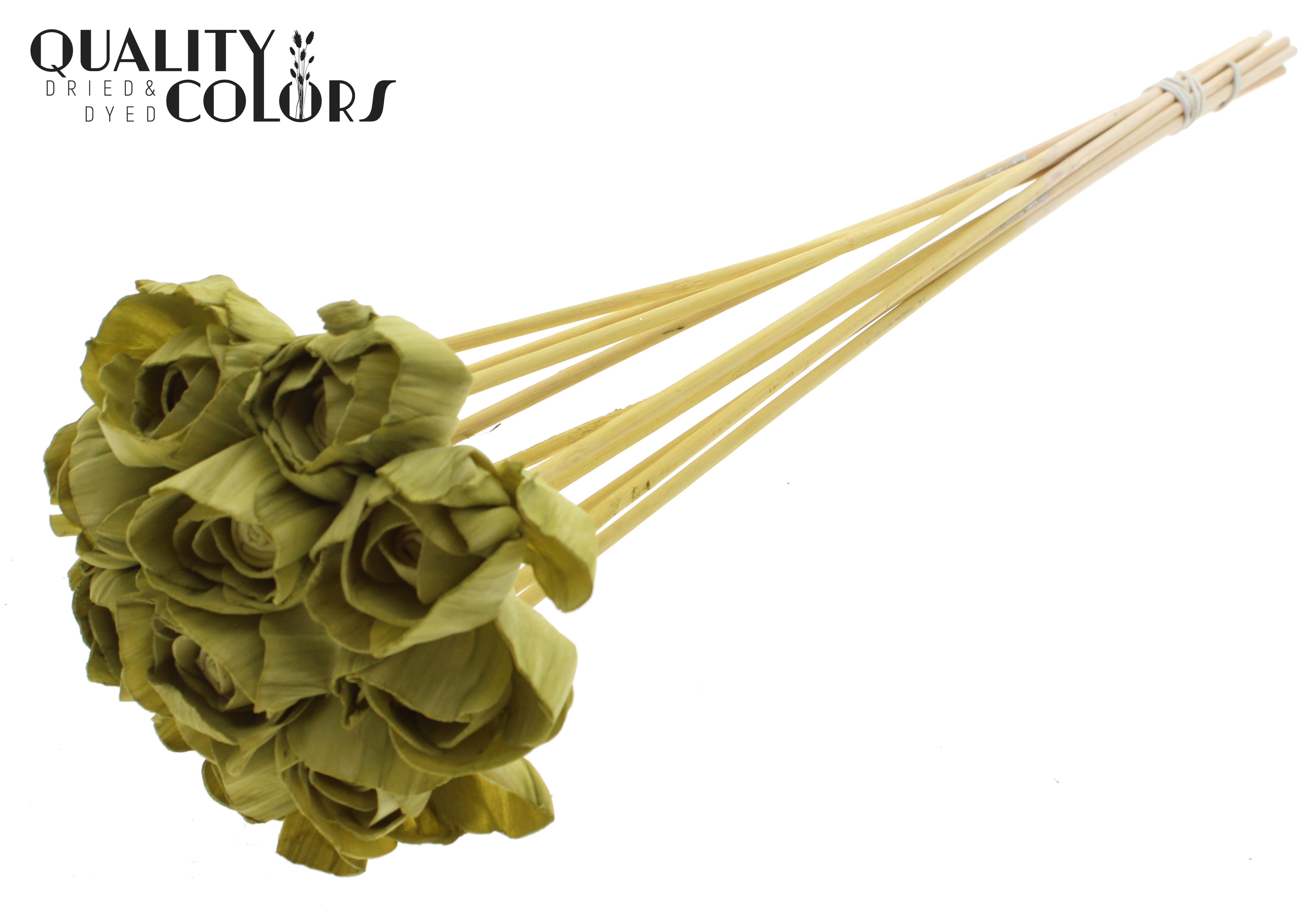 Shola Dear Holly Olive 50cm