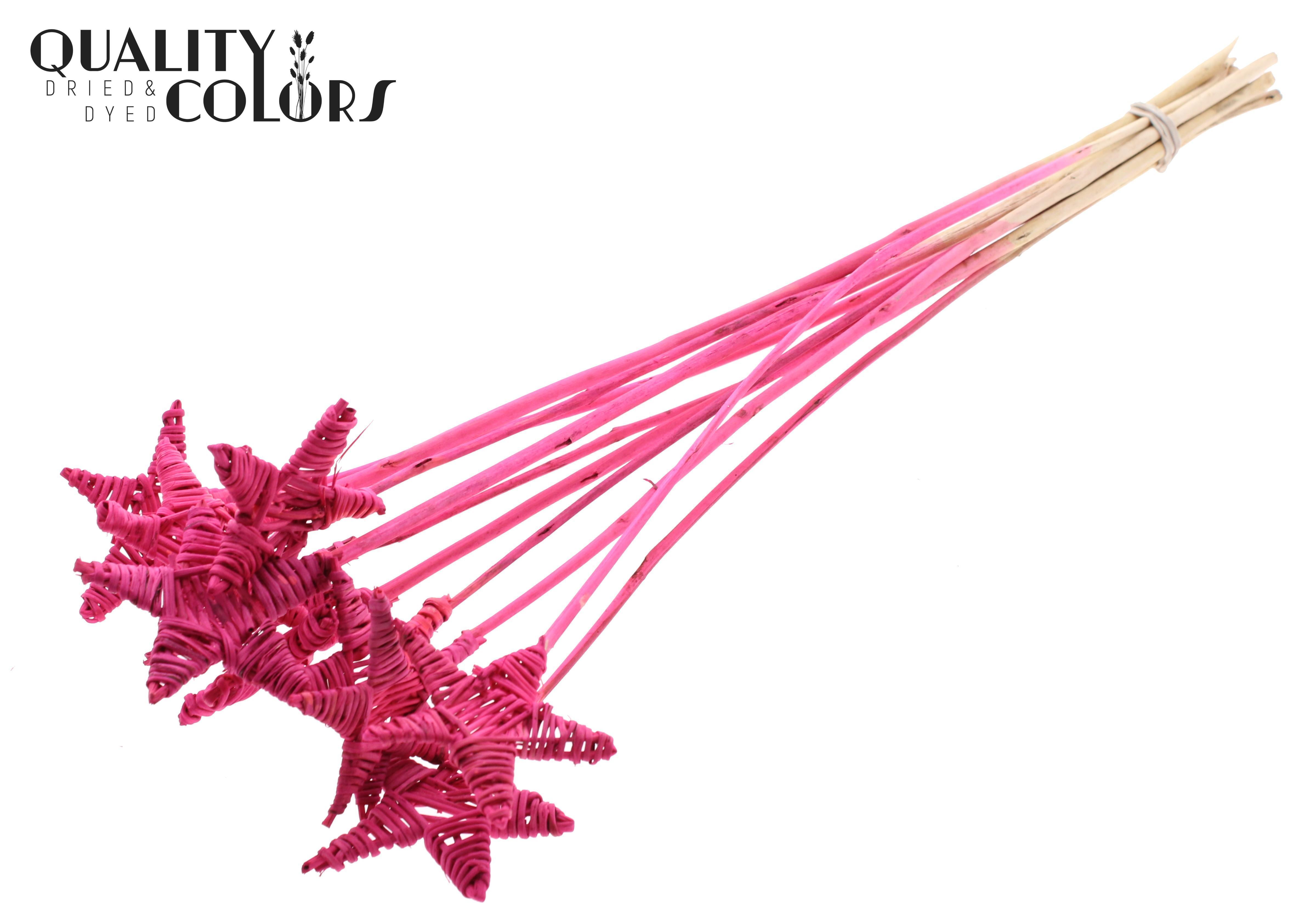 Lata Star Cerise 50cm