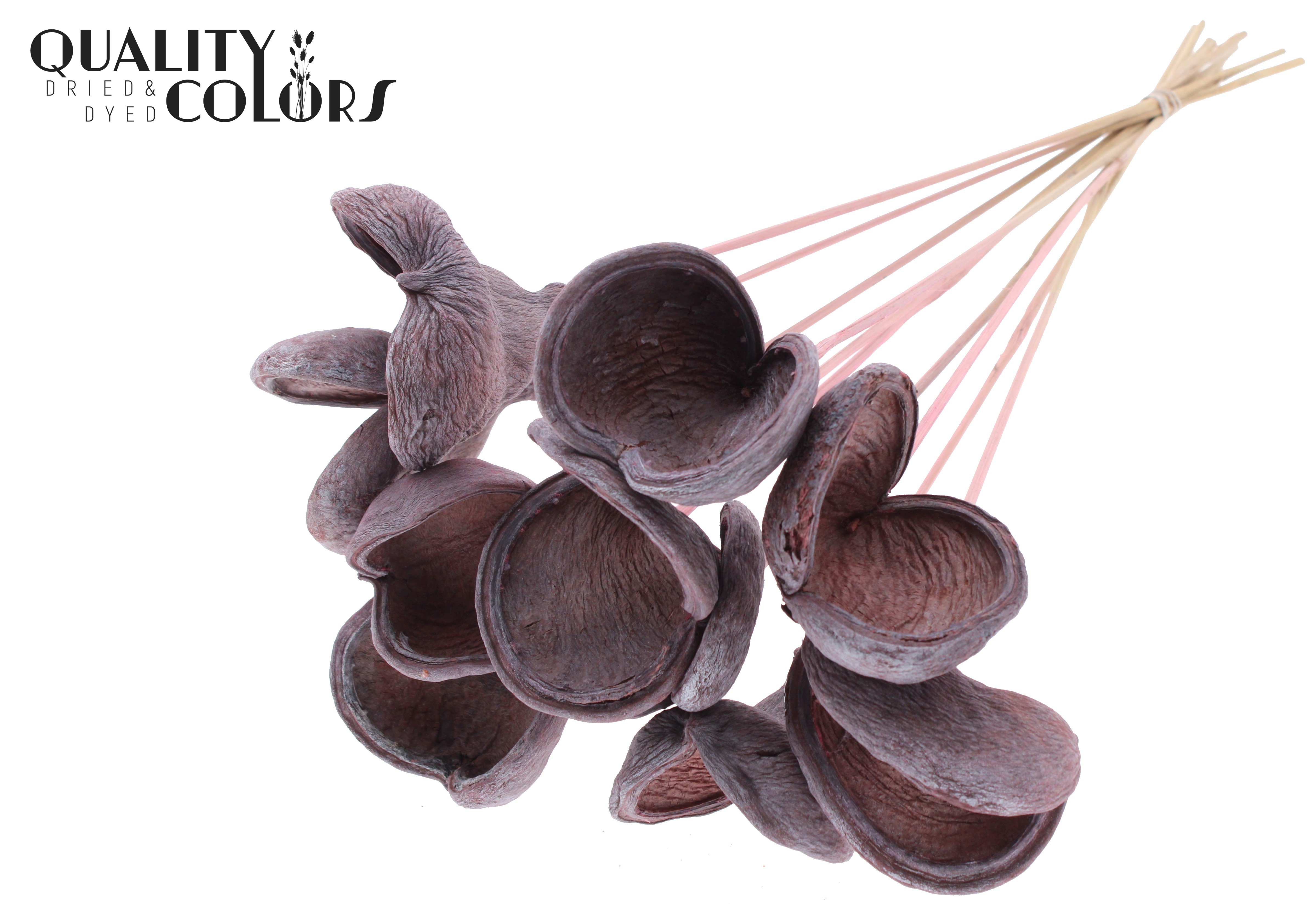 Badam Frosted Light Pink 50cm