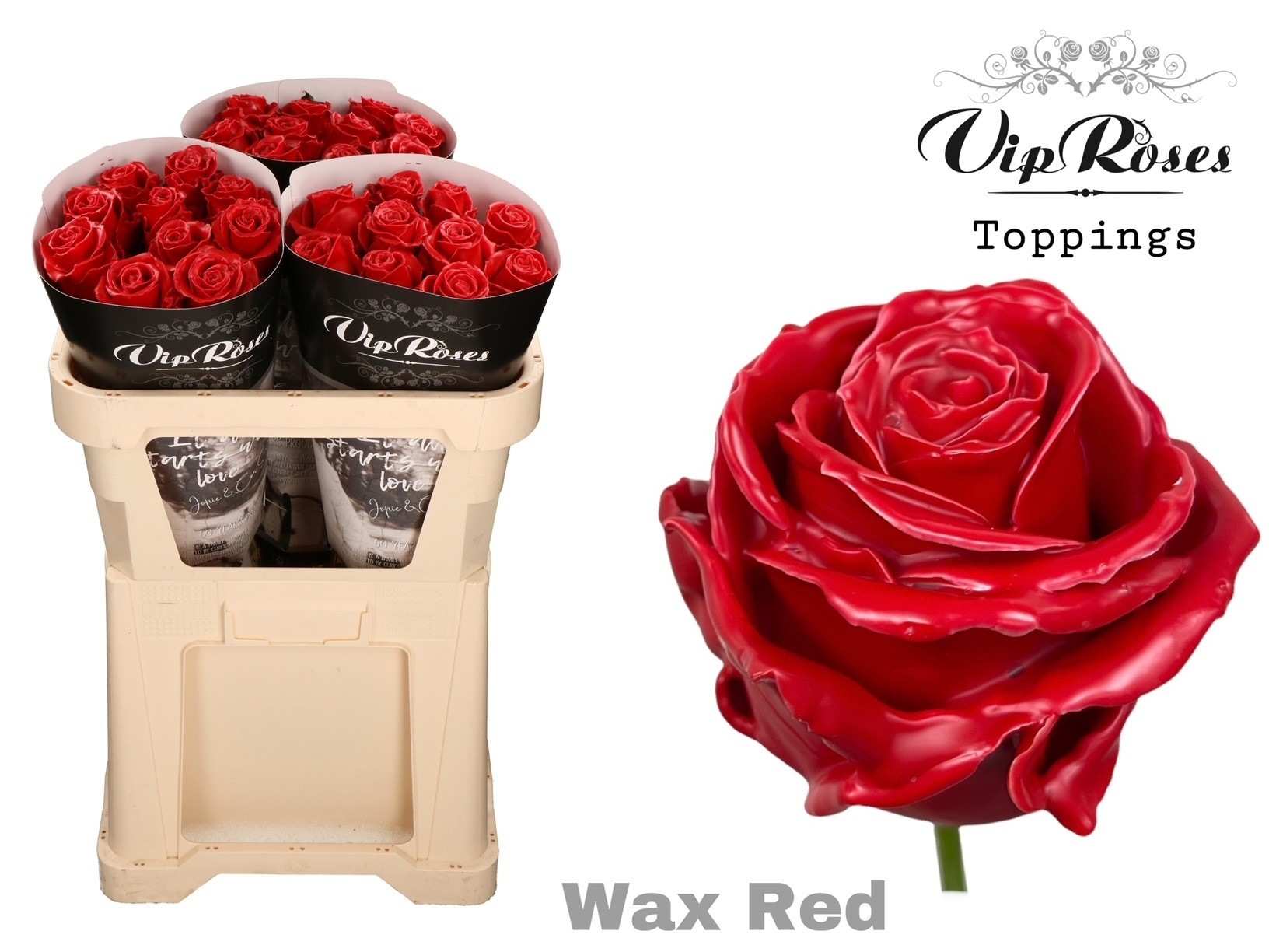 Rosa Waxed 70cm