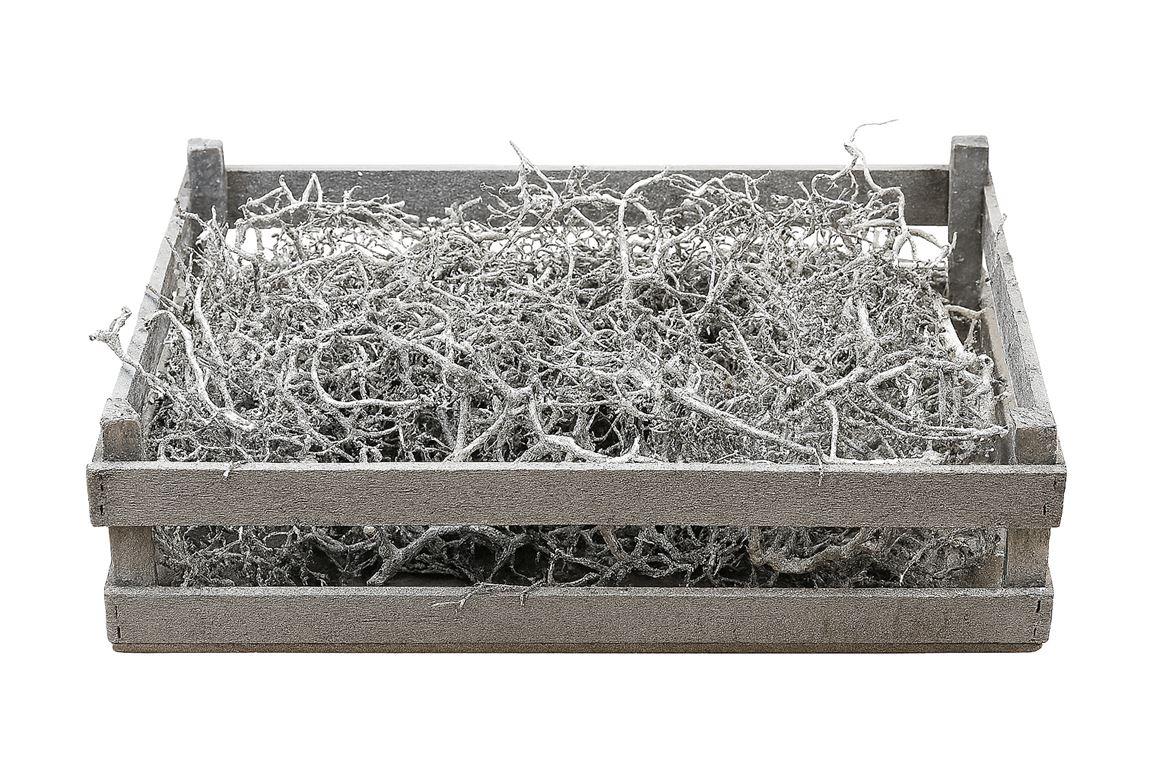 Bonsai Wood Silver P Crate