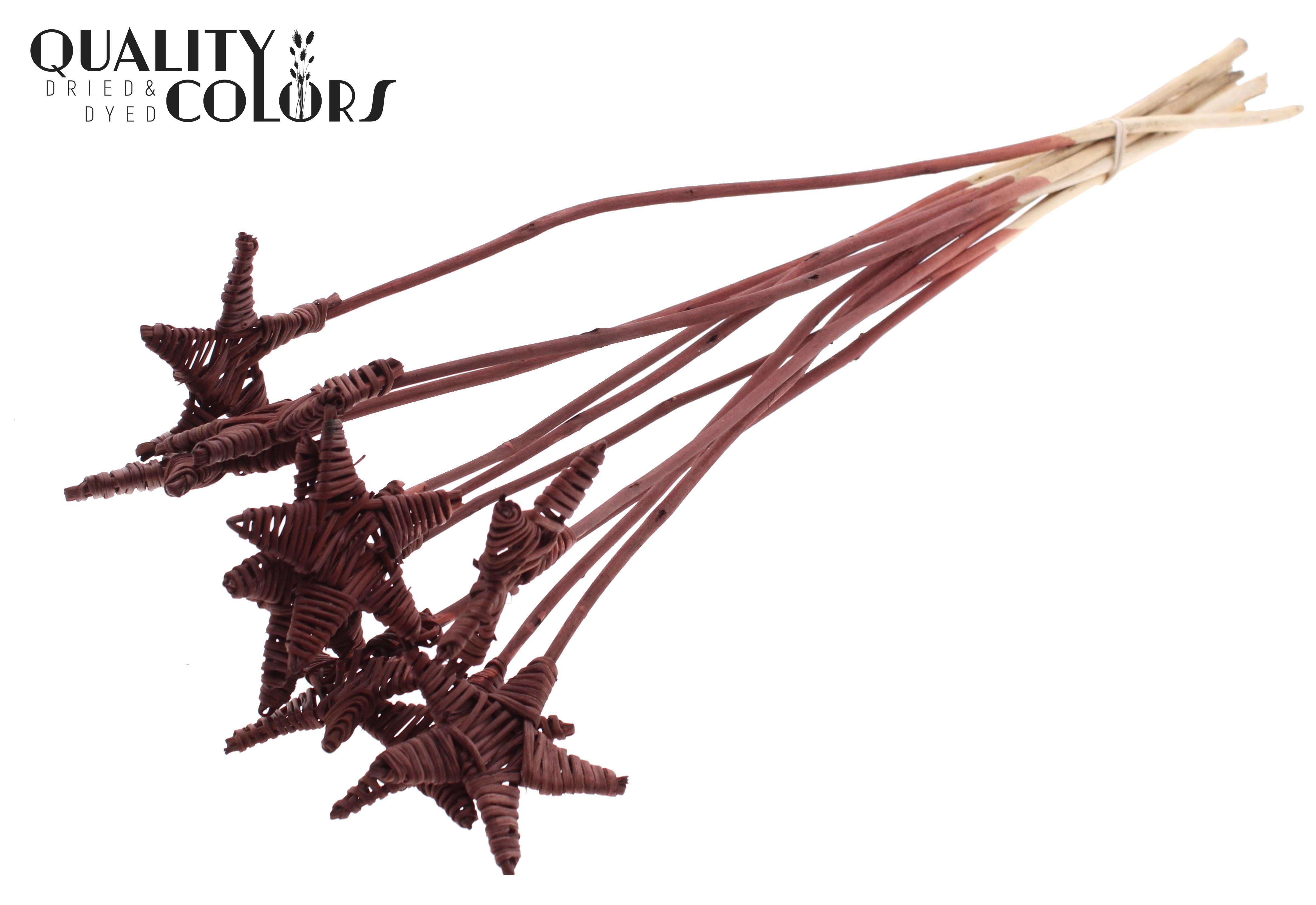Lata Star Brown 50cm