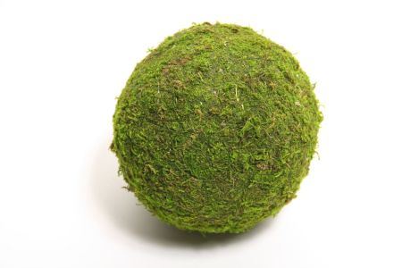 Ball Asia Moss 15cm Green