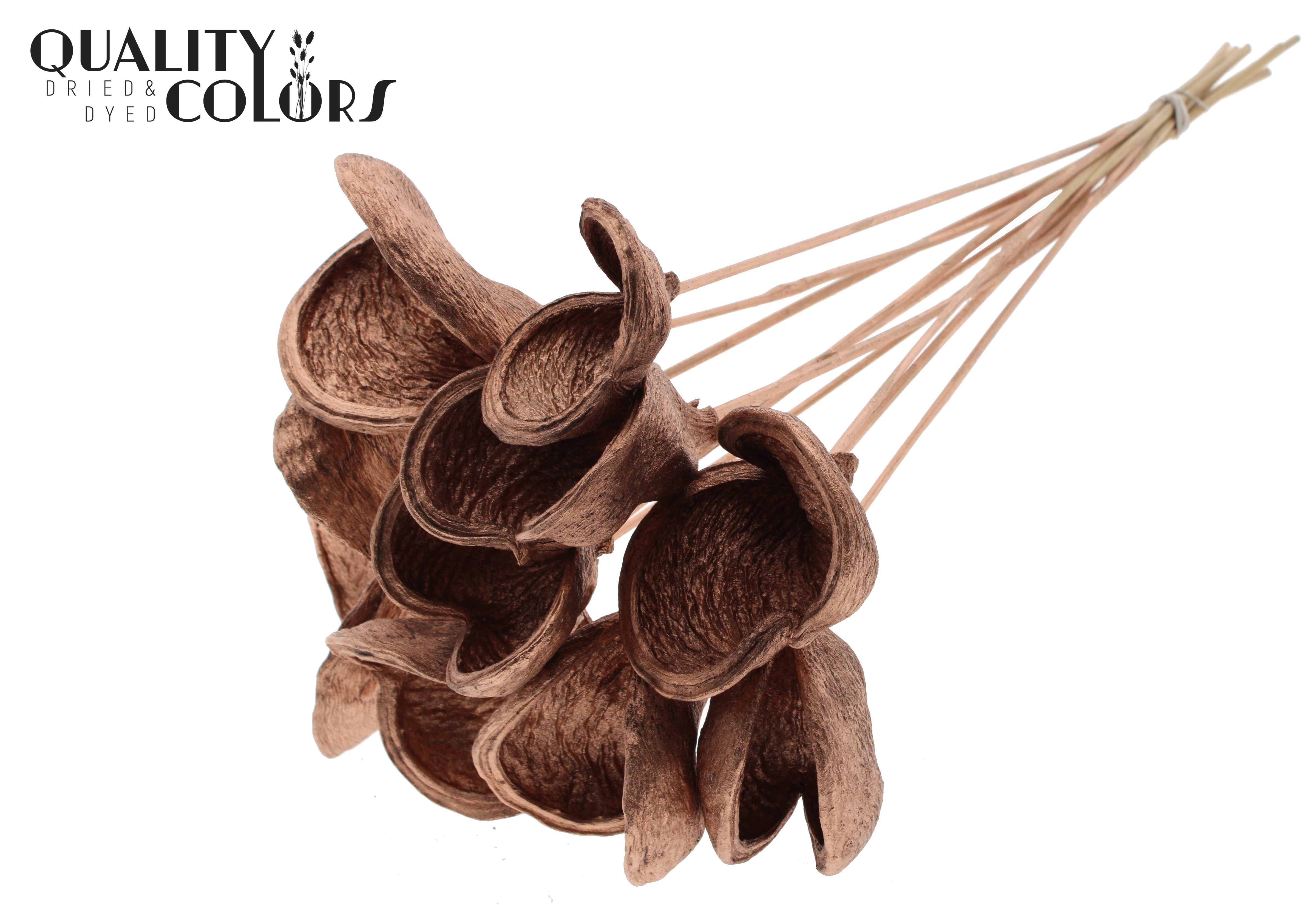 Badam Copper 50cm